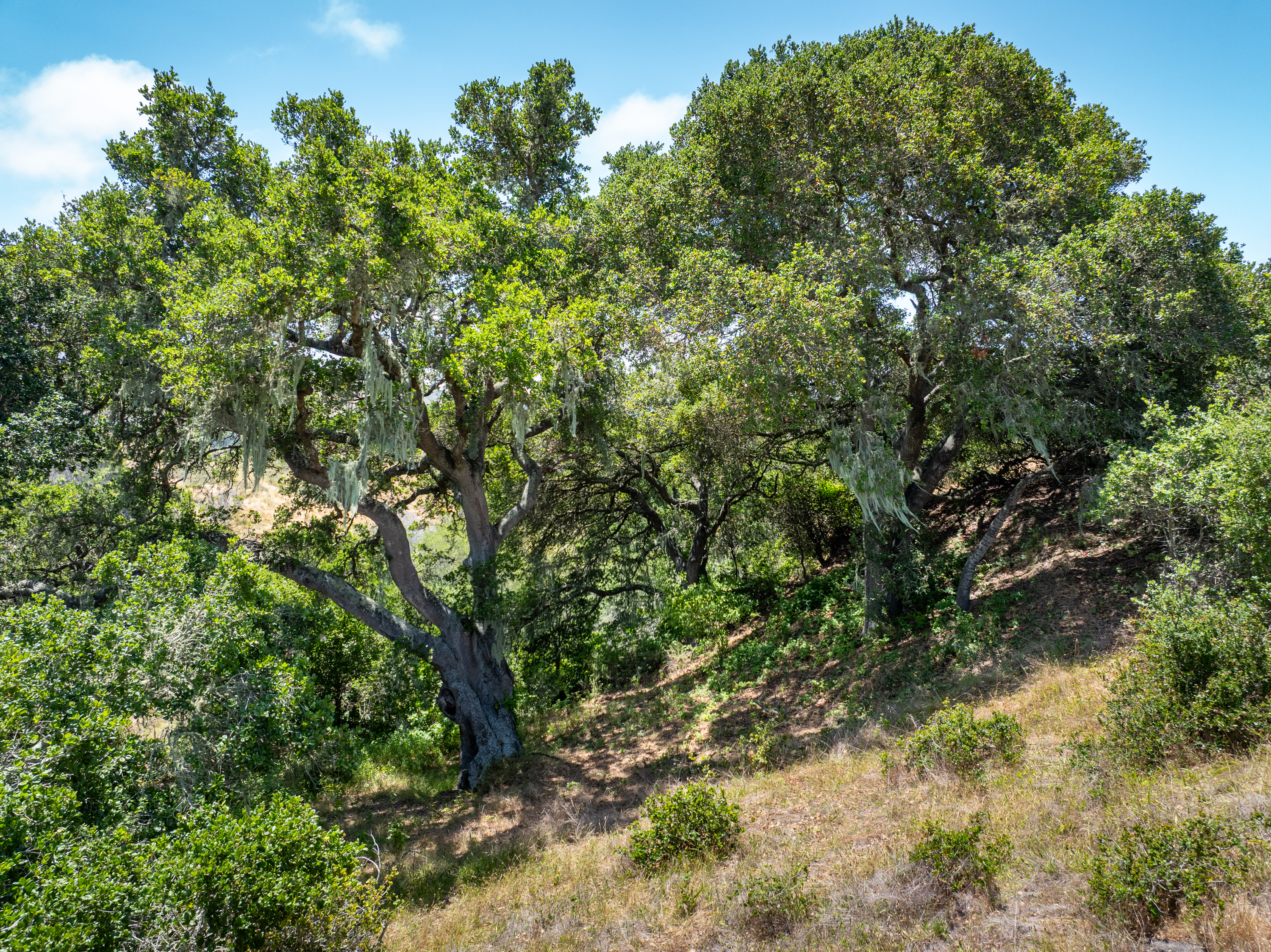  Homesite with Ocean and Mountain Views - 物件實景