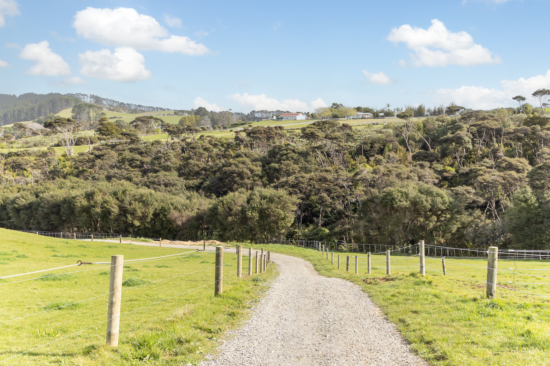  Equestrian Facility - Land Bank with Income - 物件實景