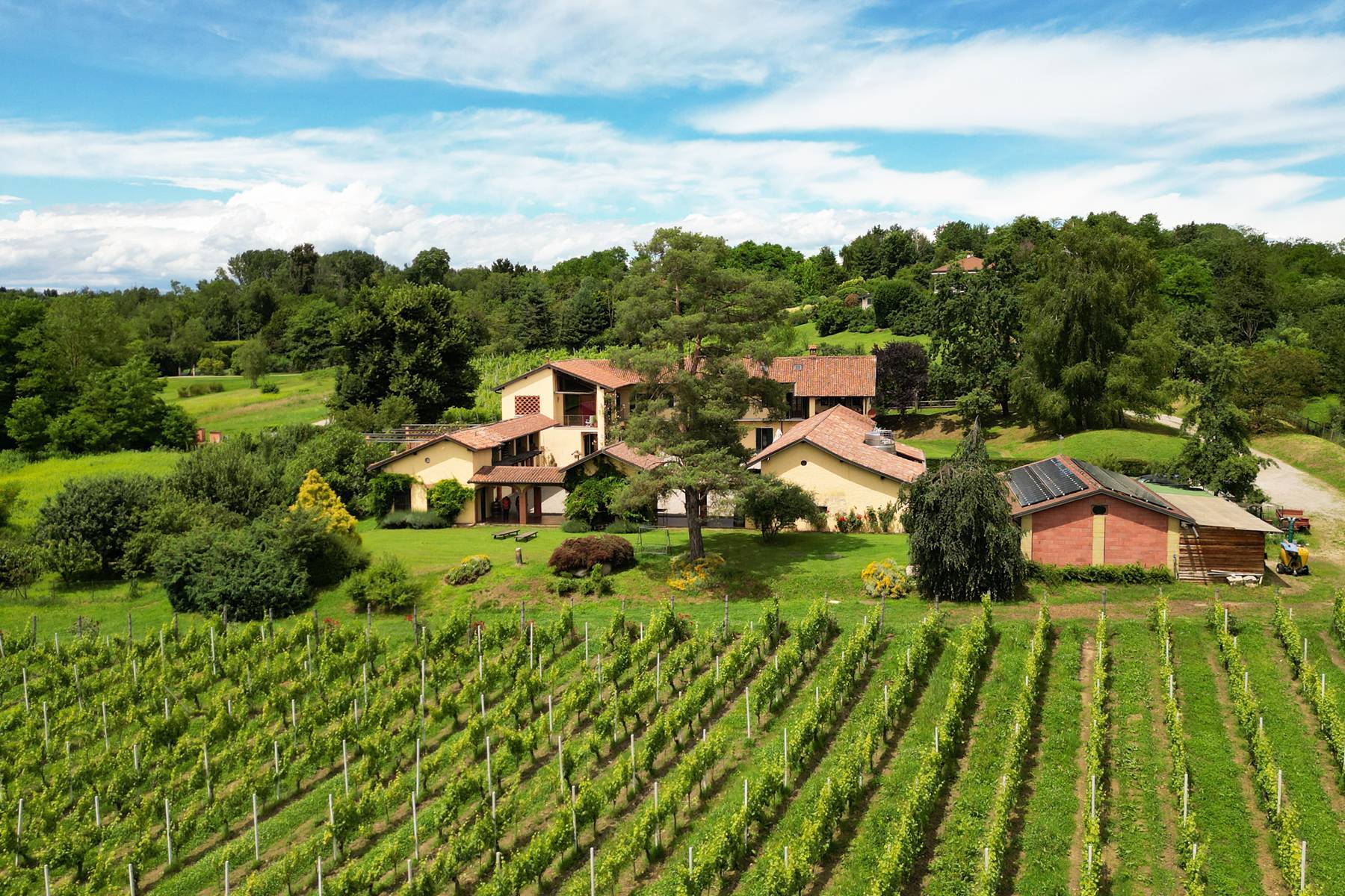  Exclusive wine estate - 物件實景