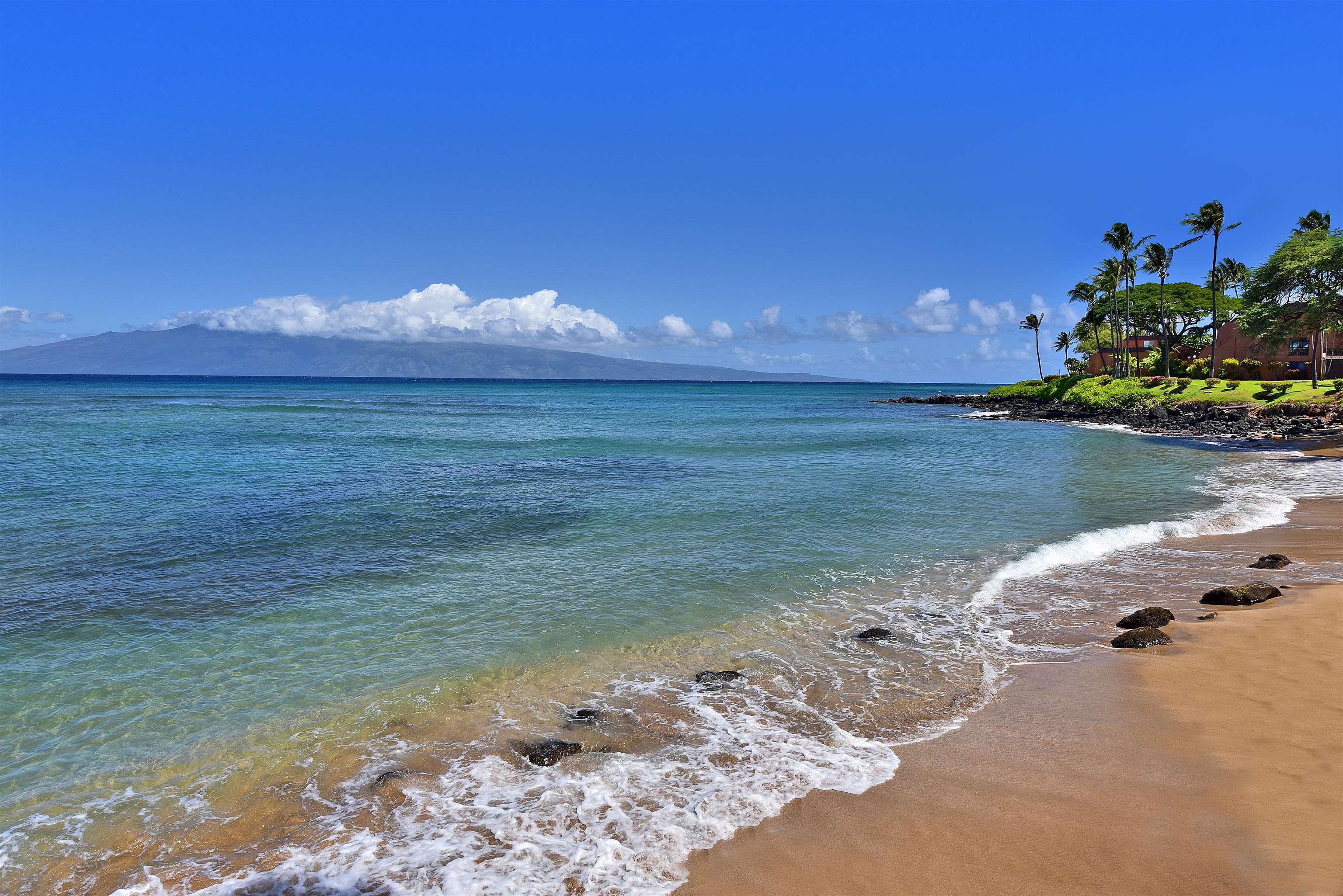 Lahaina, Hawaii, 96761, United States, 1 Bedroom Bedrooms, ,1 BathroomBathrooms,Residential,For Sale,1891036