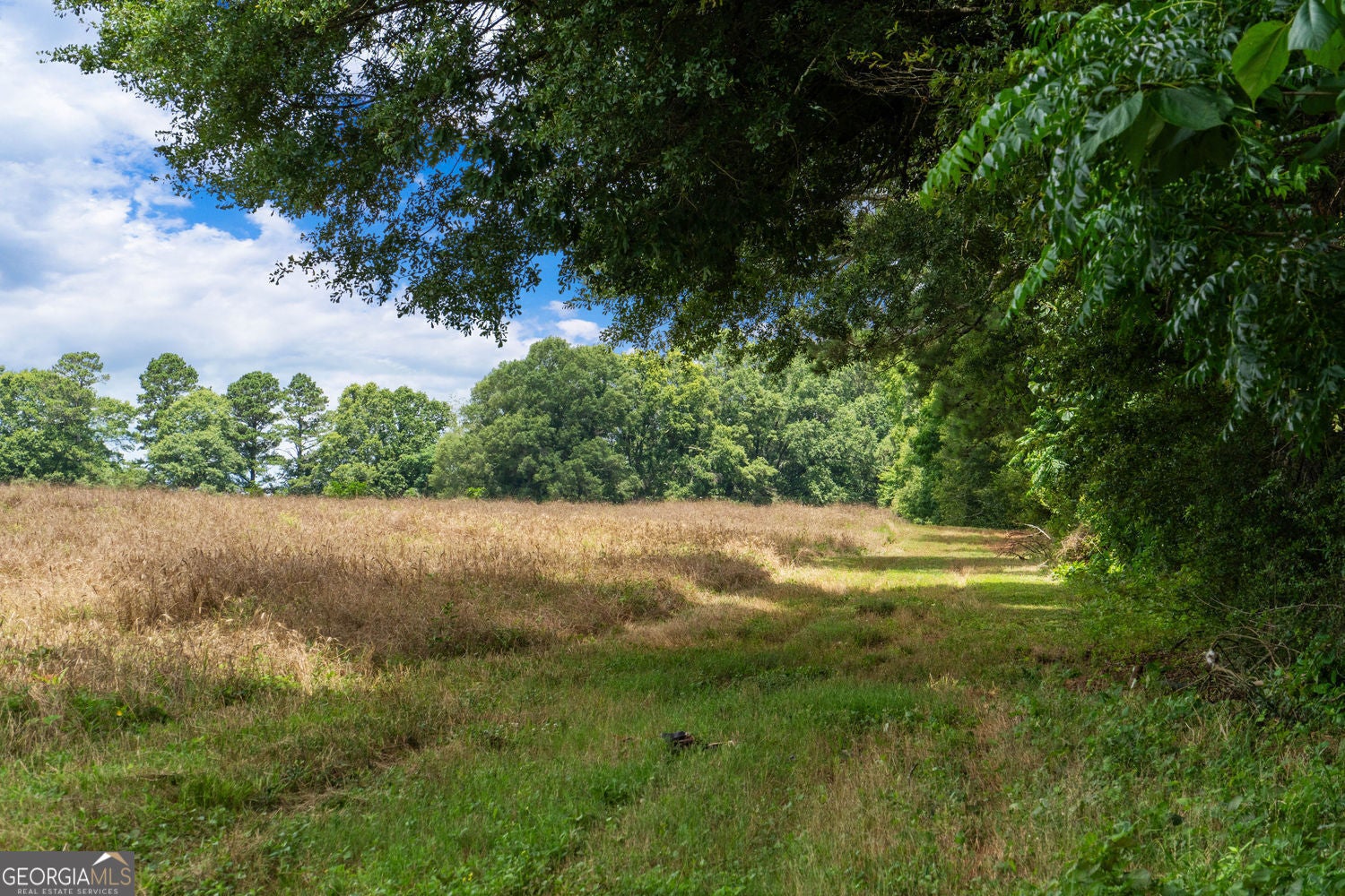 Social Circle, Georgia, 30025, United States, ,Residential,For Sale,1867942
