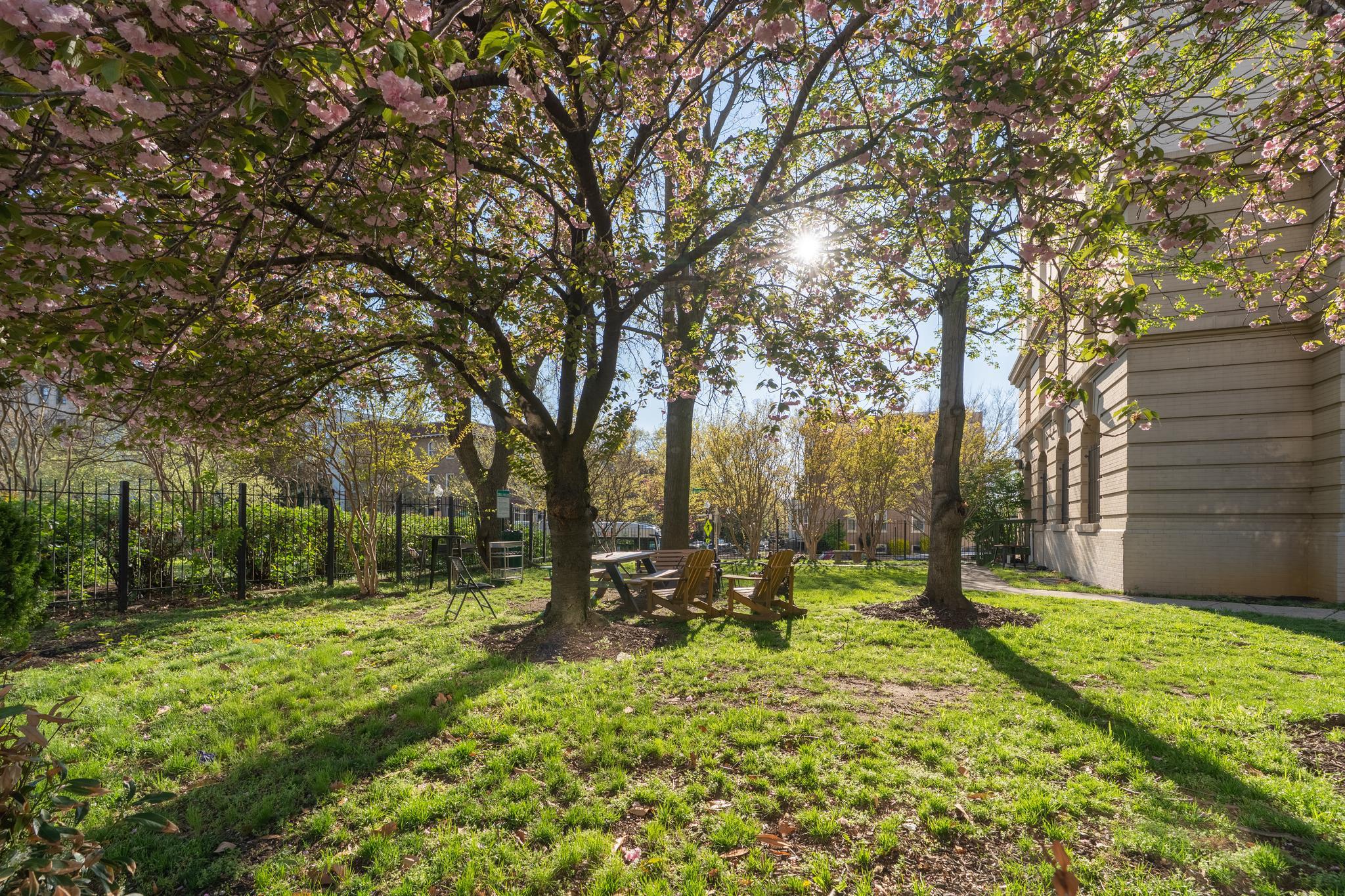  3060 16th Street NW, Washington, DC, 20009 - 物件實景
