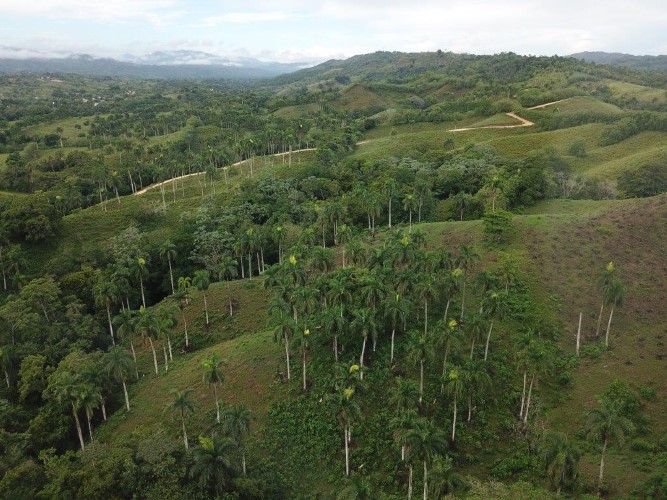 Sabaneta, DO, ,Land,For Sale,1618868