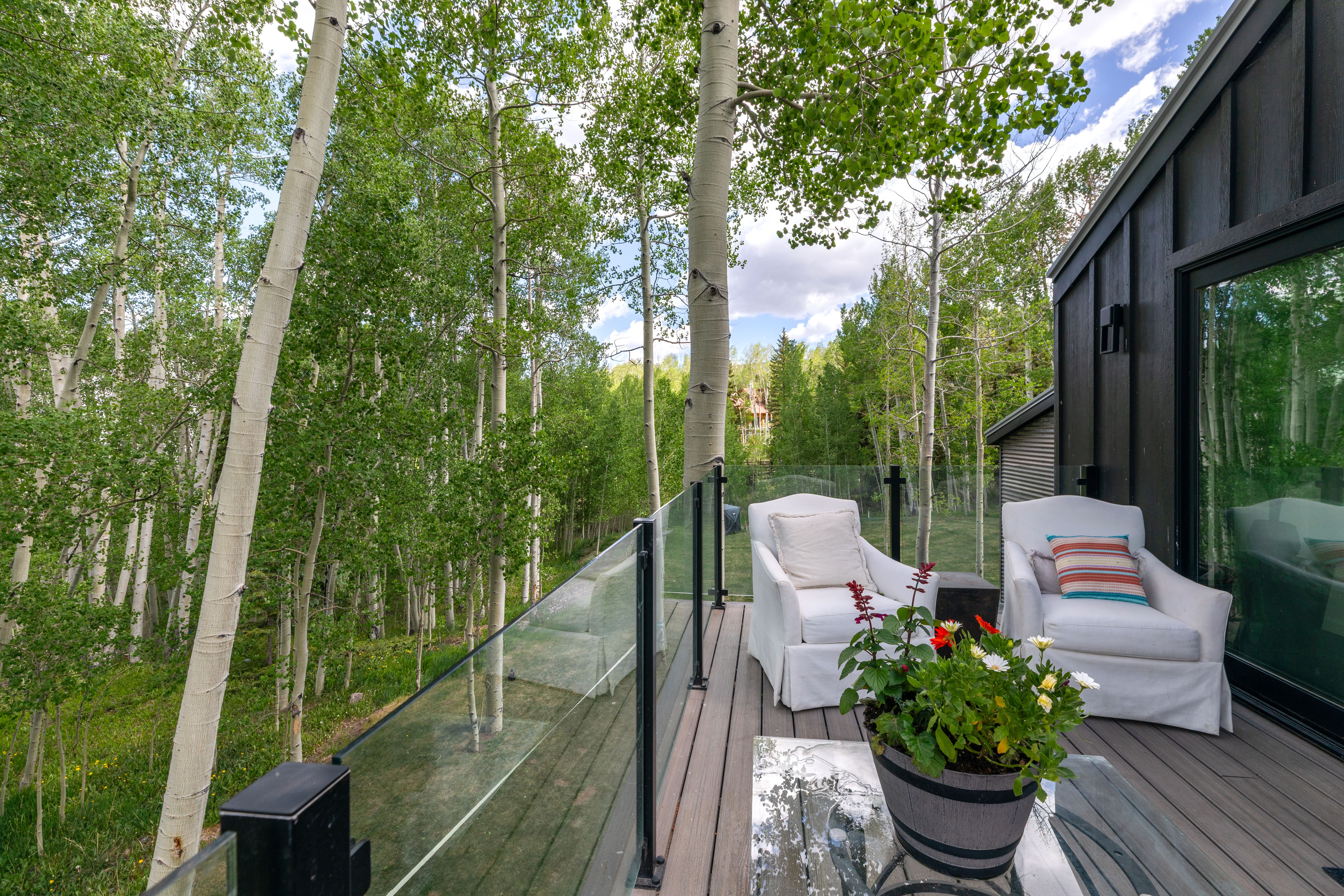  Secluded 4 Bed / 4 Bath Telluride Property - 物件實景