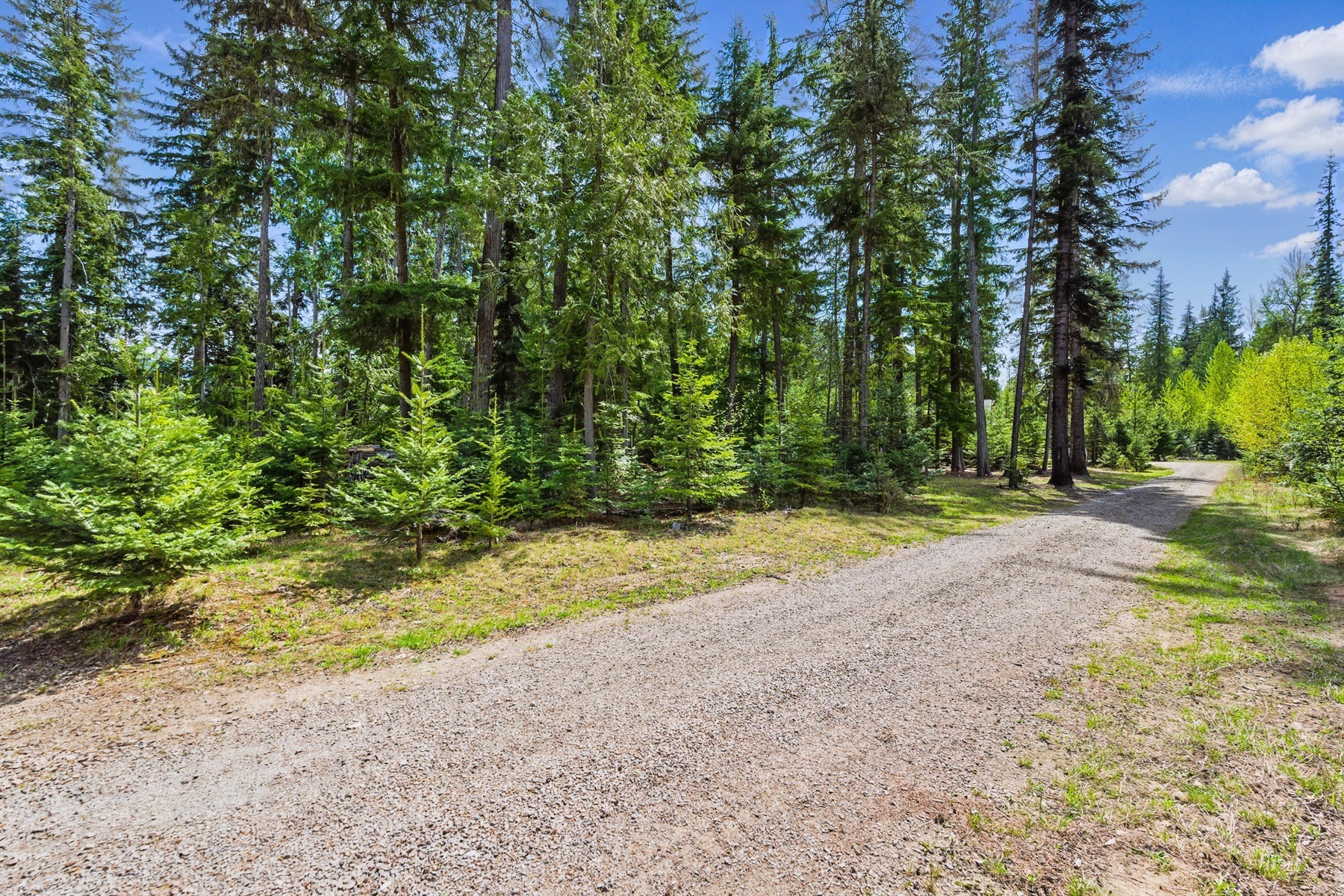  Priest Lake Idaho Building Lots - 物件實景