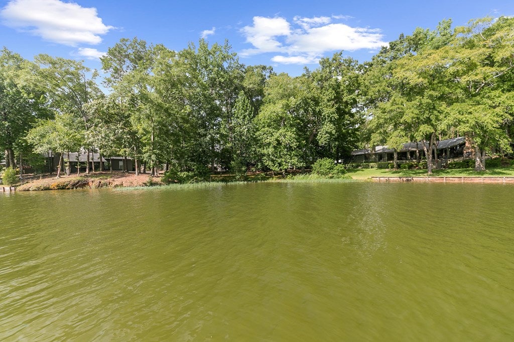 Abbeville, Alabama, 36310, United States, 3 Bedrooms Bedrooms, ,2 BathroomsBathrooms,Residential,For Sale,1866584