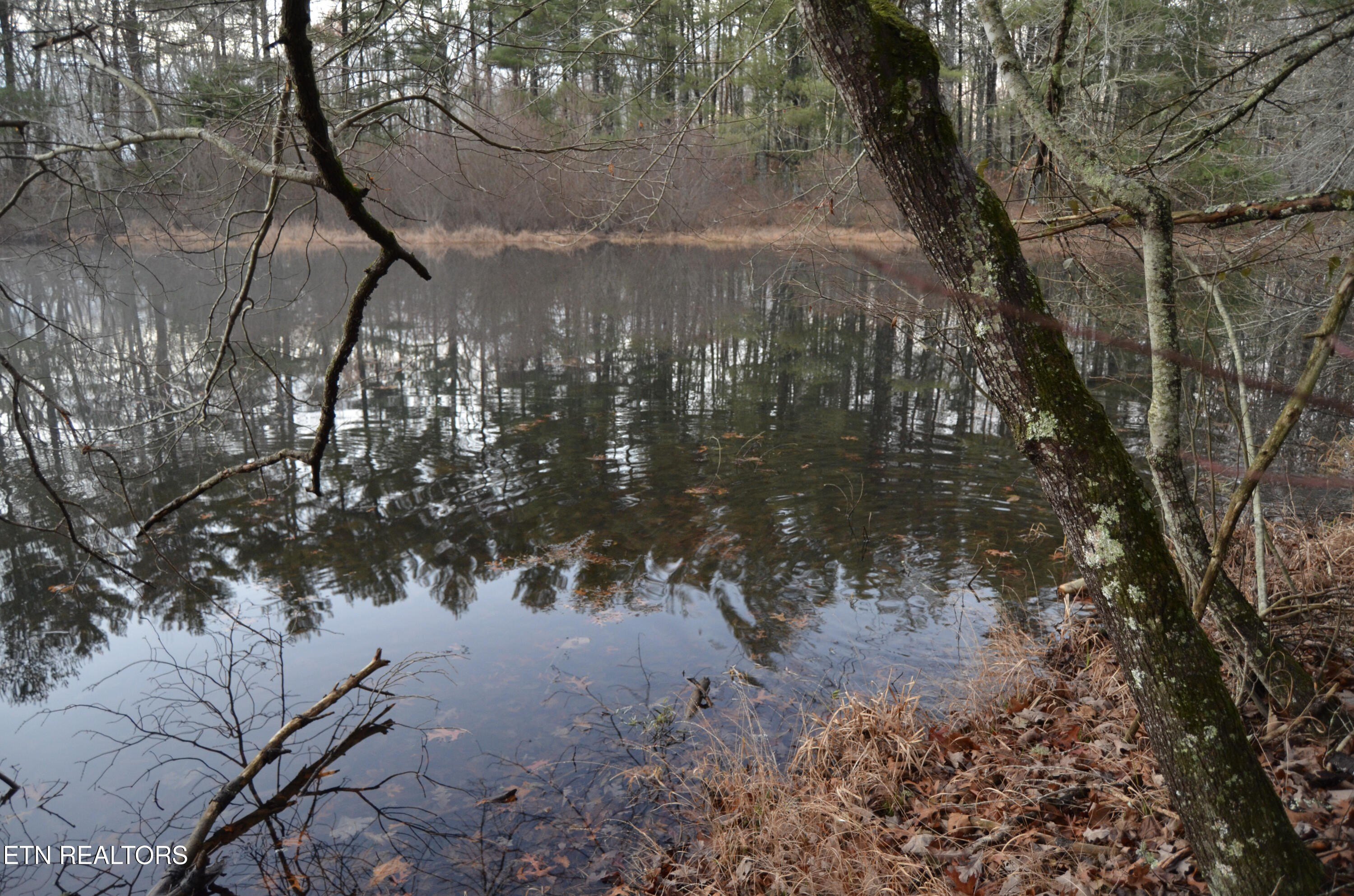 Crossville, Tennessee, 38555, United States, ,Land,For Sale,1983294