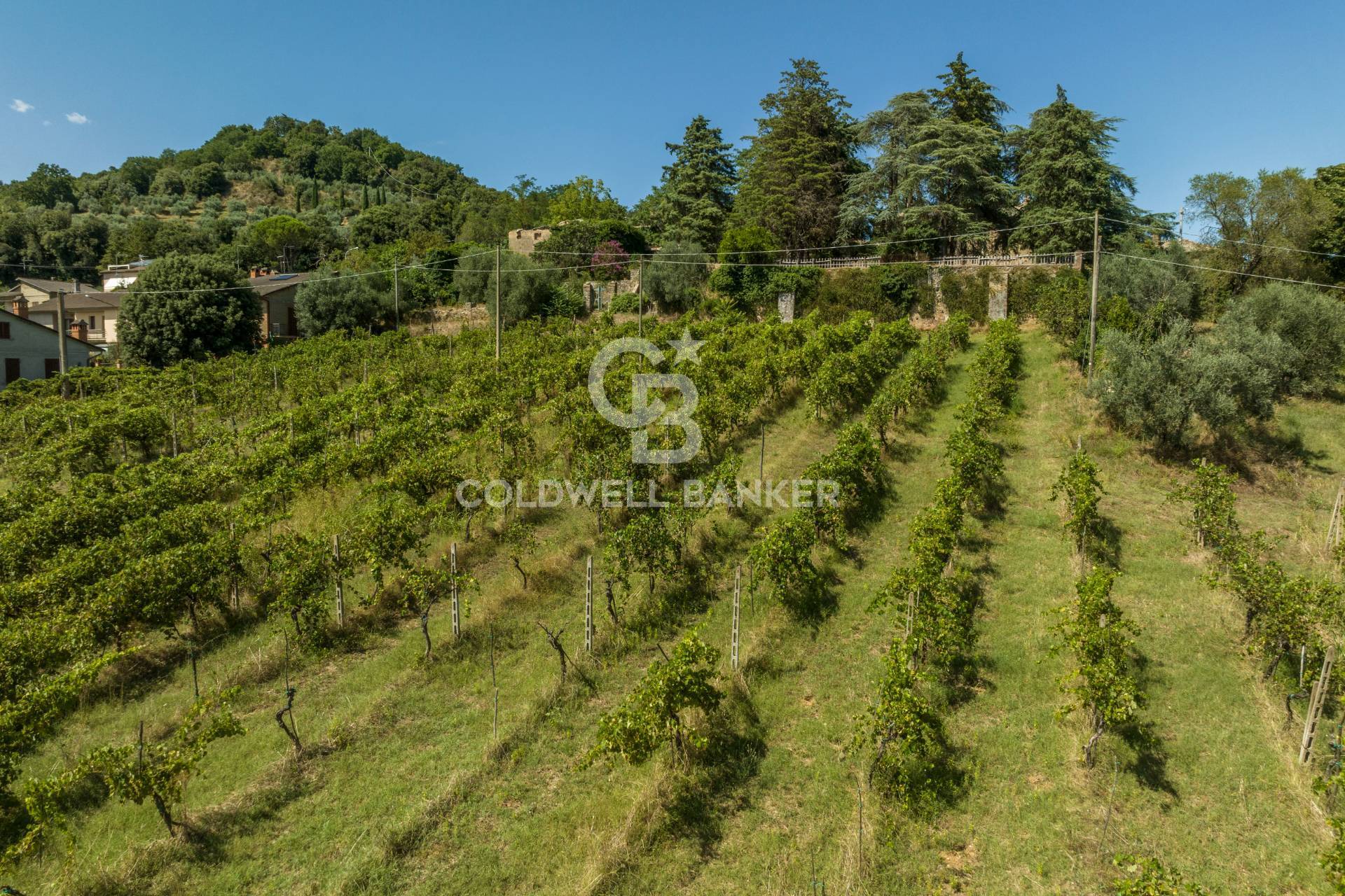 Strada Poggi, Orvieto, Terni, 05018, IT, 20 Bedrooms Bedrooms, ,10 BathroomsBathrooms,Residential,For Sale,Strada Poggi,1668933