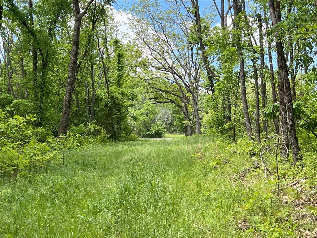 Garfield, Arkansas, 72732, United States, ,Land,For Sale,1804669