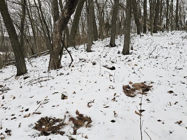 Gays Mills, Wisconsin, 54631, United States, 3 Bedrooms Bedrooms, ,3 BathroomsBathrooms,Residential,For Sale,2006070