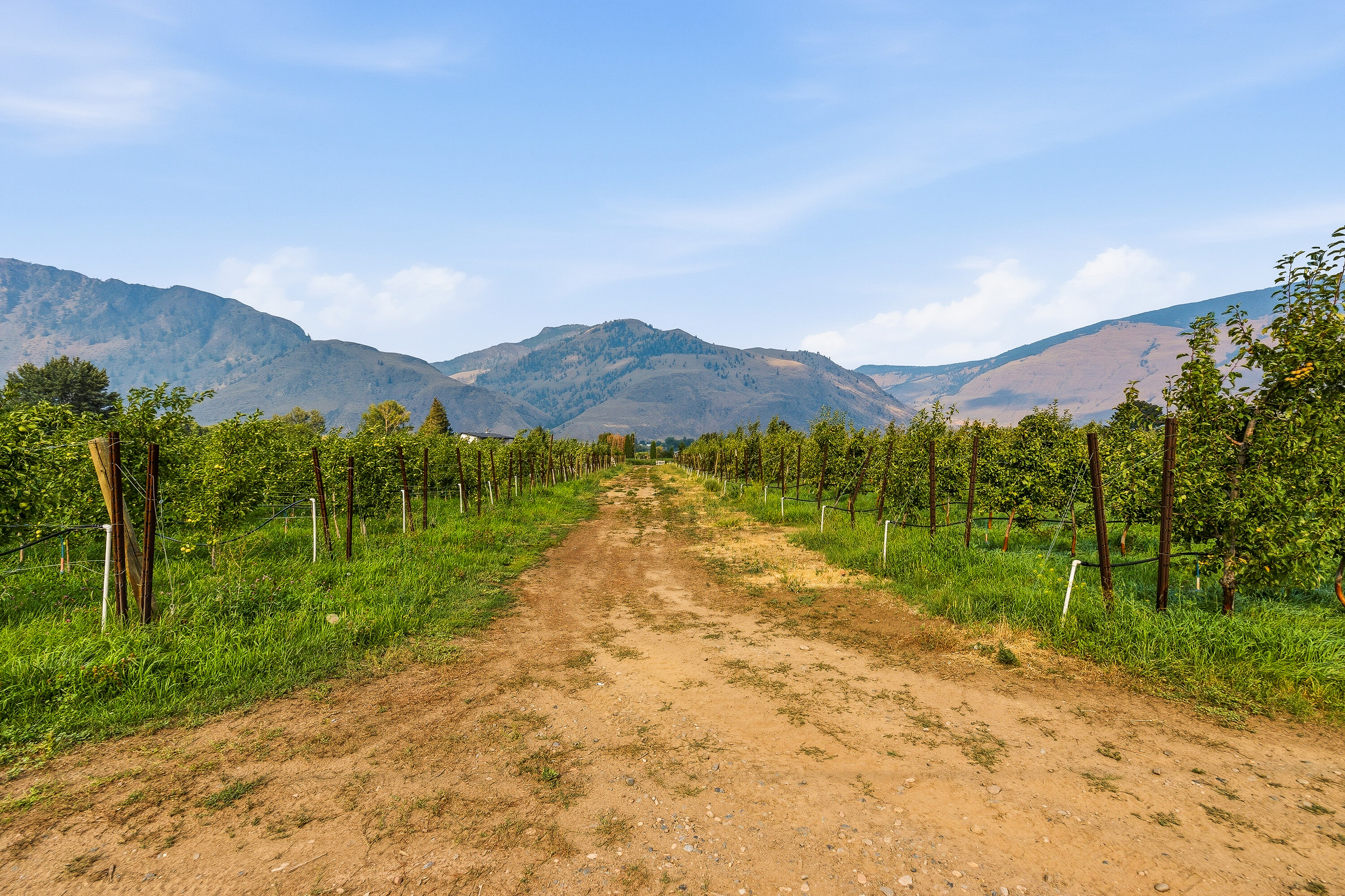  Home on an Organic Farm - 物件實景