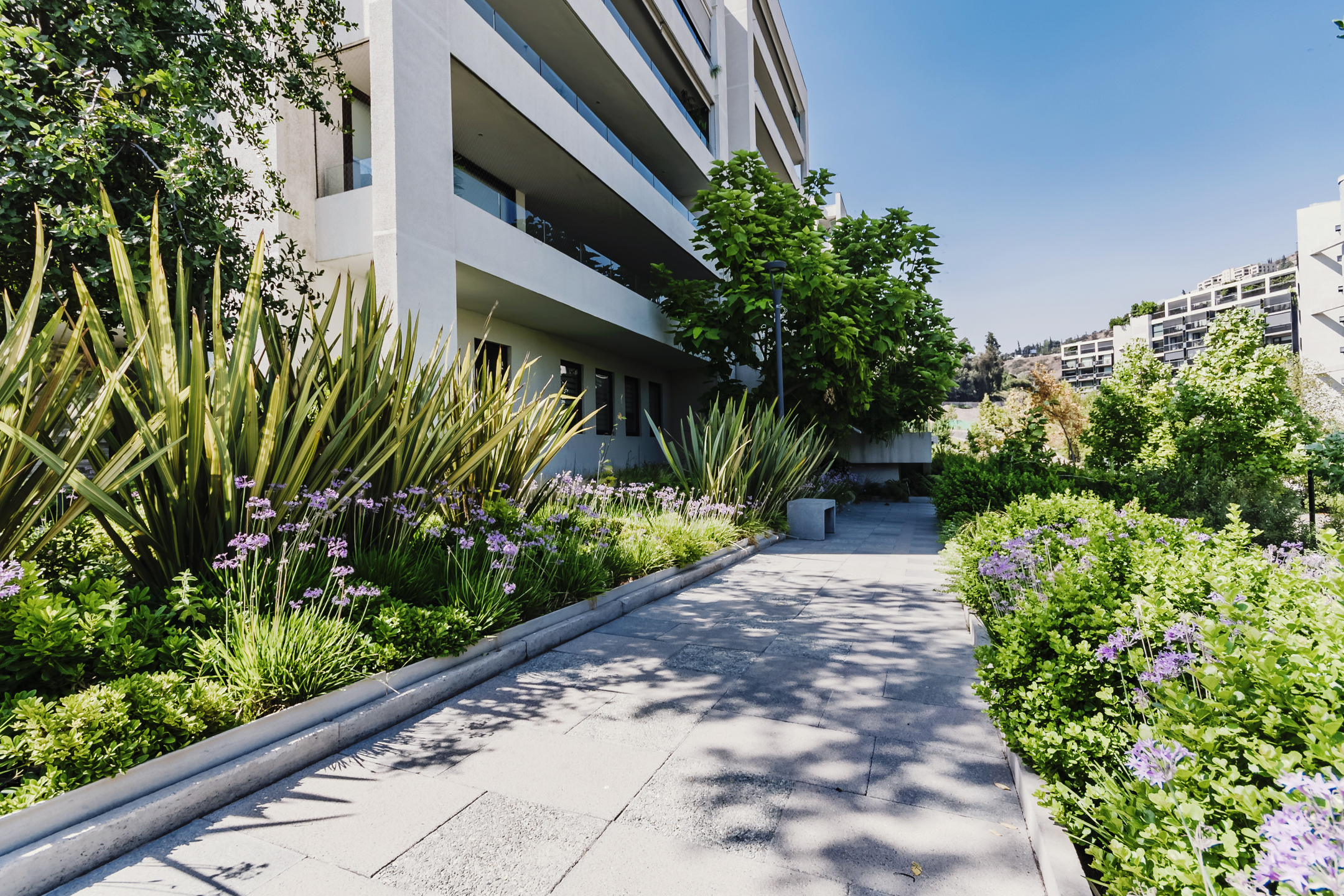  Impeccable apartment in Lo Curro Bajo. - 物件實景