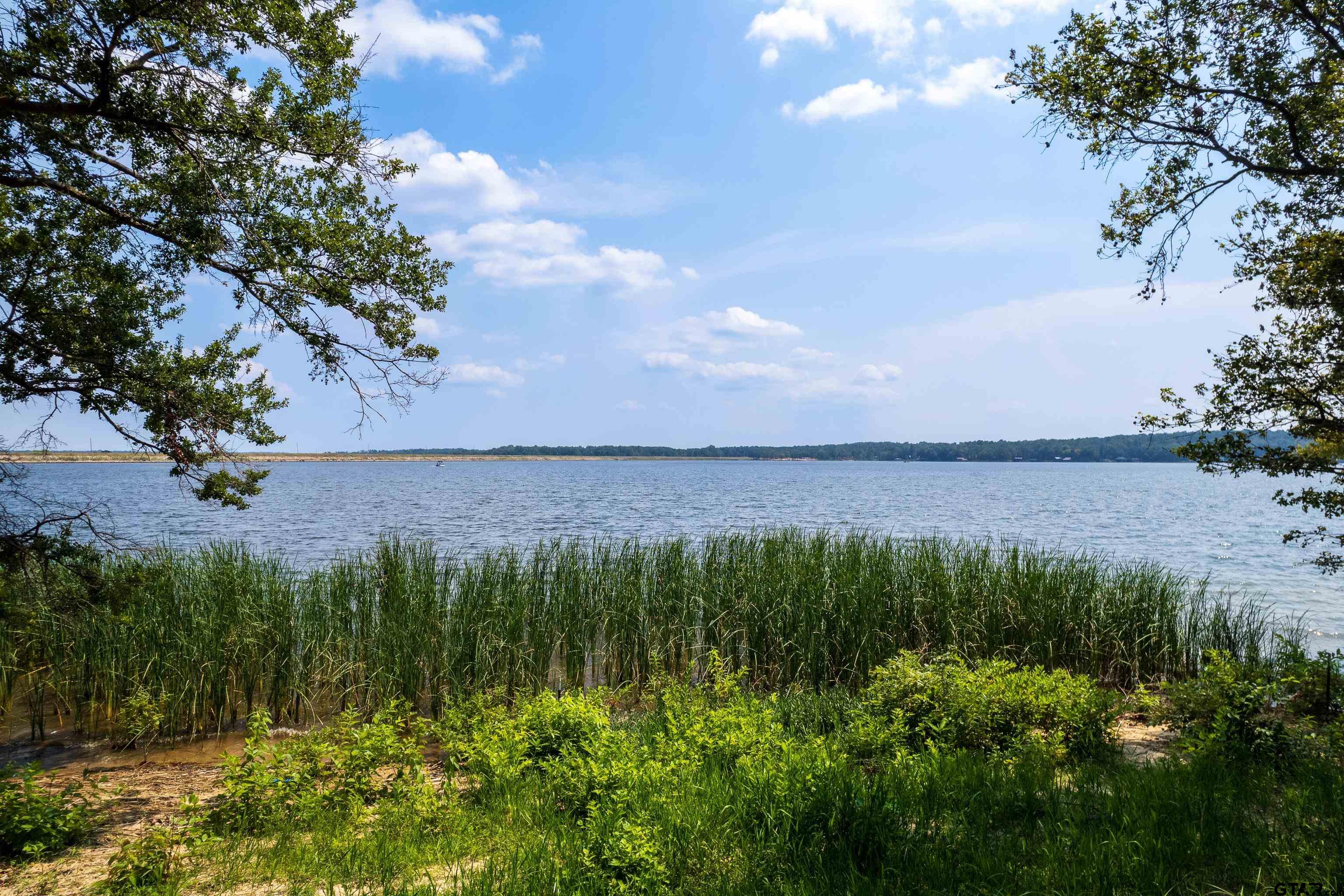 Mt Vernon, Texas, 75457, United States, ,Land,For Sale,1982226