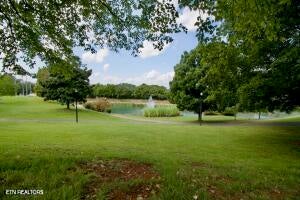 Maryville, Tennessee, 37804, United States, ,Residential,For Sale,1960945