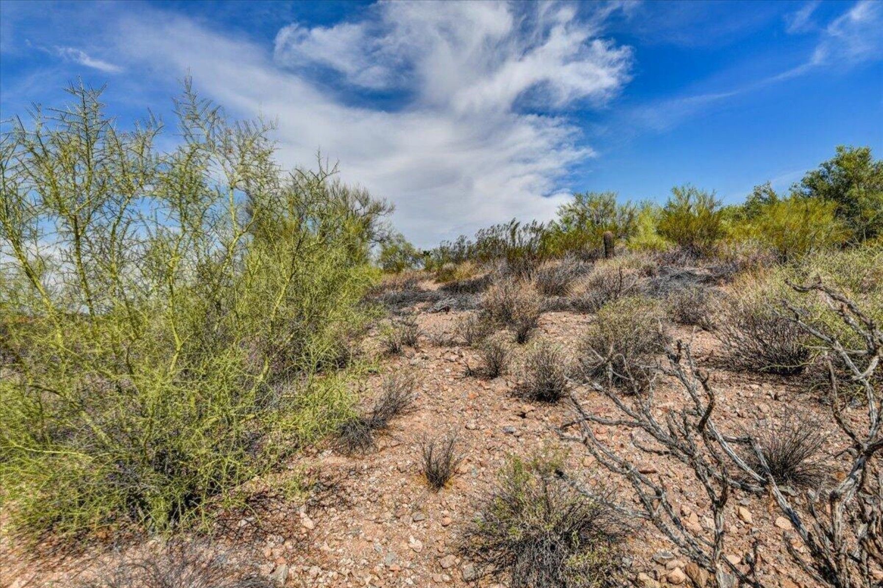  10806 N Cherry Hills Court¦Fountain Hills, AZ - 物件實景