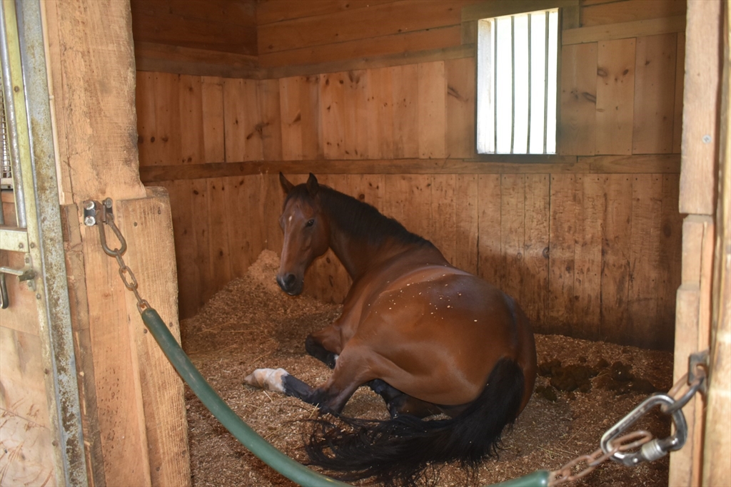 Spencer, Massachusetts, 01562, United States, 5 Bedrooms Bedrooms, ,4 BathroomsBathrooms,Residential,For Sale,1973869