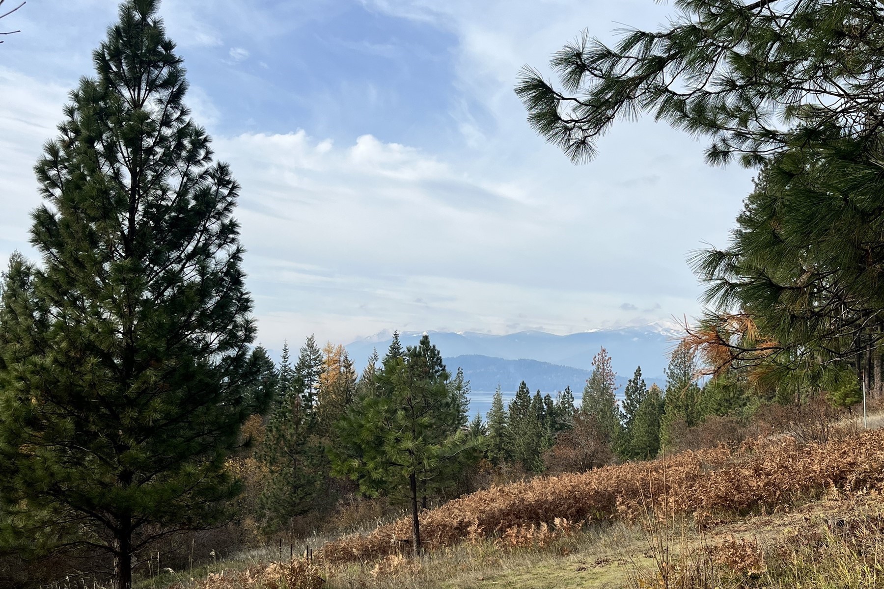  Logs Above The Lake - 物件實景