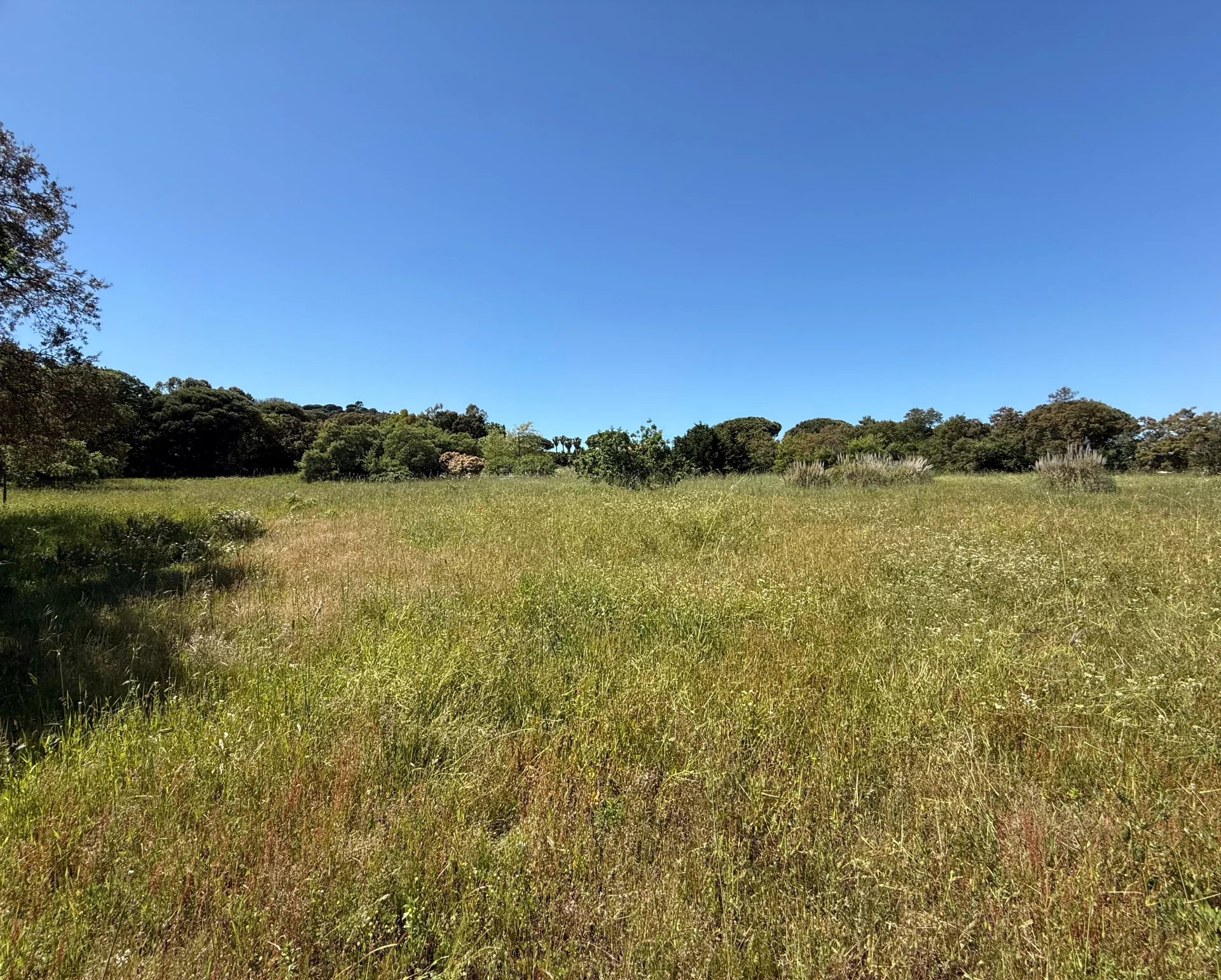 Ramatuelle, Provence-Alpes-Côte d?Azur, 83350, FR, ,Residential,For Sale,1645785
