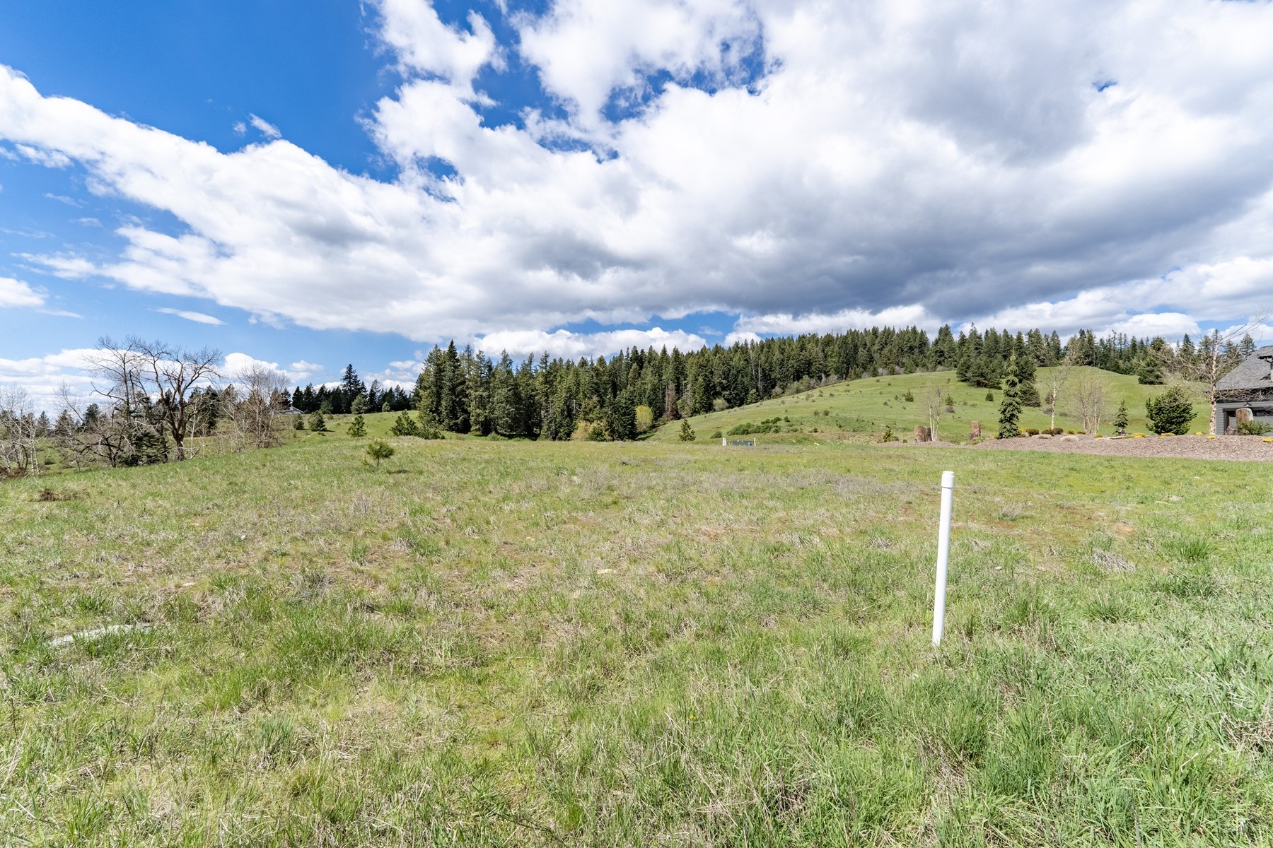  Pinot Place Potential - 物件實景