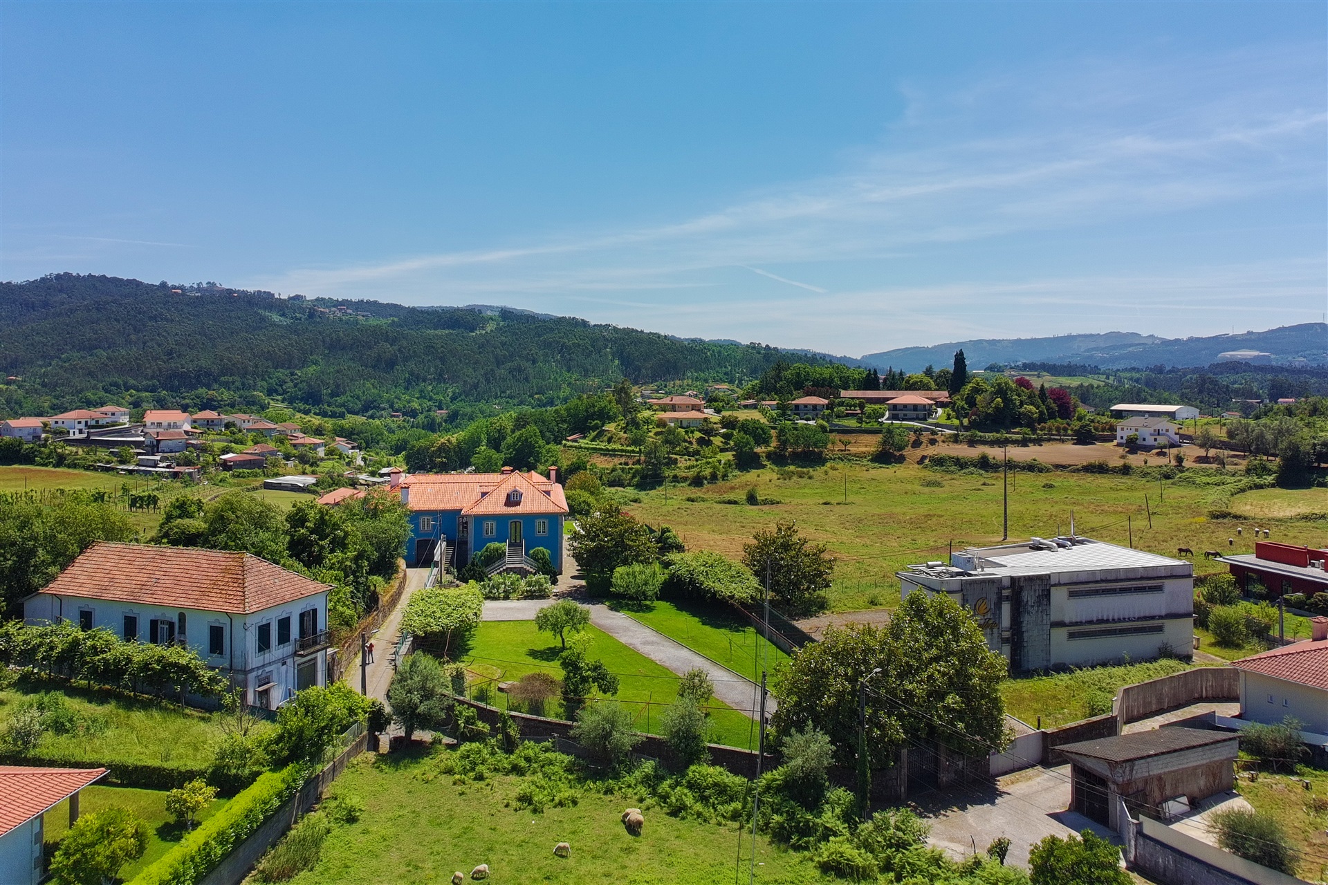  Farm, 9 bedrooms, for Sale - 物件實景