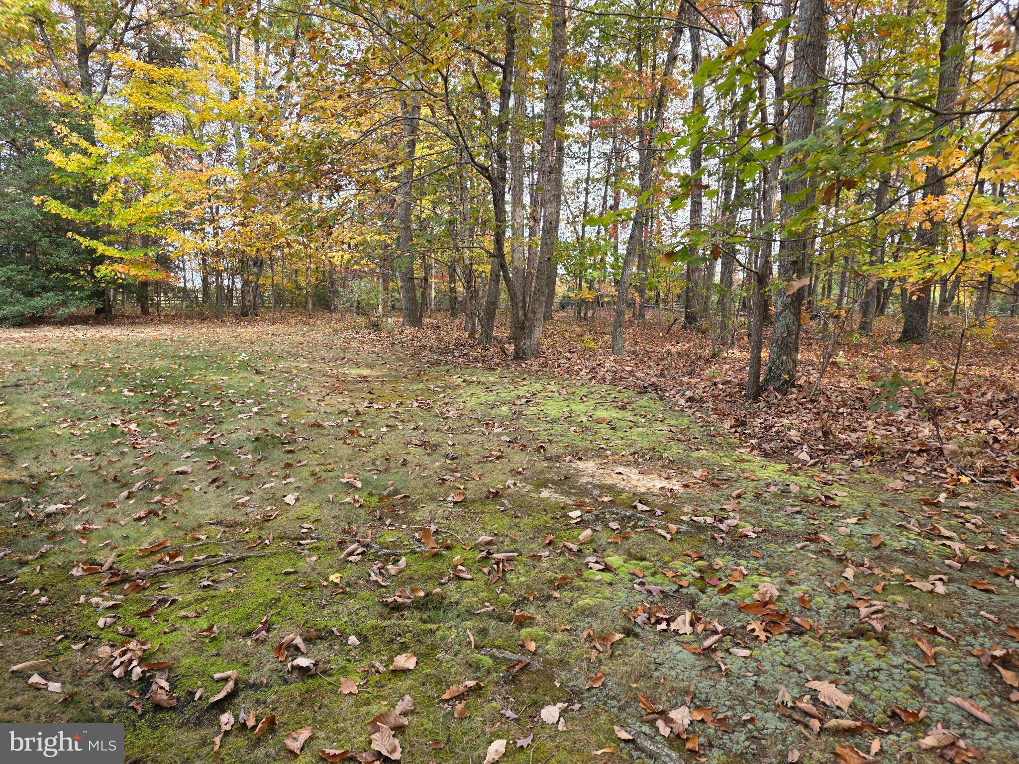 Locust Grove, Virginia, 22508, United States, 3 Bedrooms Bedrooms, ,2 BathroomsBathrooms,Residential,For Sale,1986112