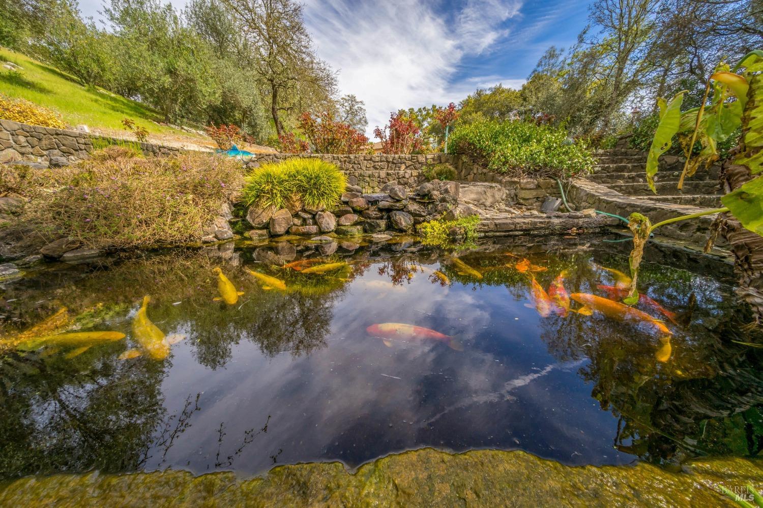 St. Helena, California, 94574, United States, 5 Bedrooms Bedrooms, ,6 BathroomsBathrooms,Residential,For Sale,1708621