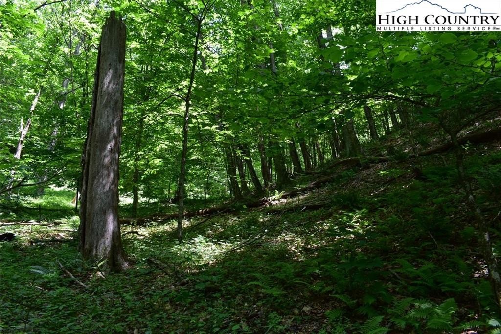 Warrensville, North Carolina, 28693, United States, ,Land,For Sale,1984173