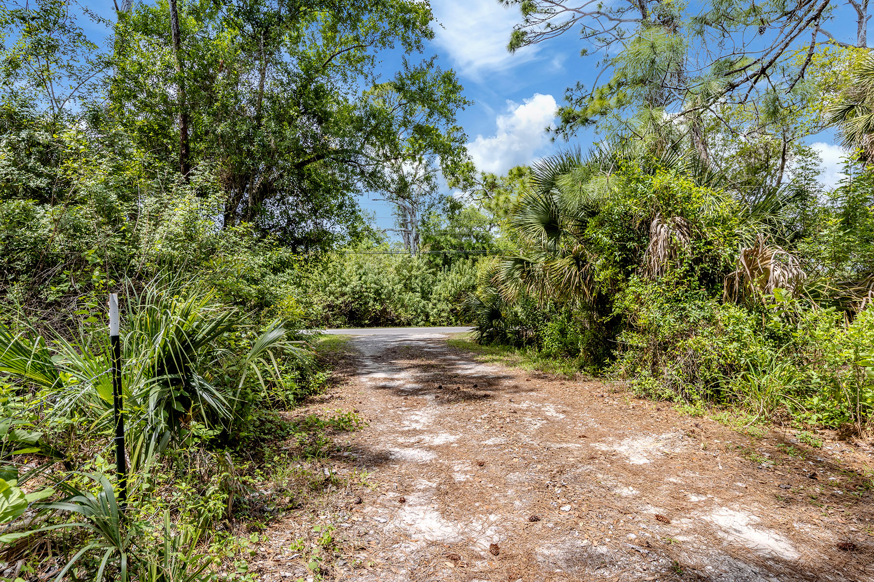  VENICE FARMS - 物件實景