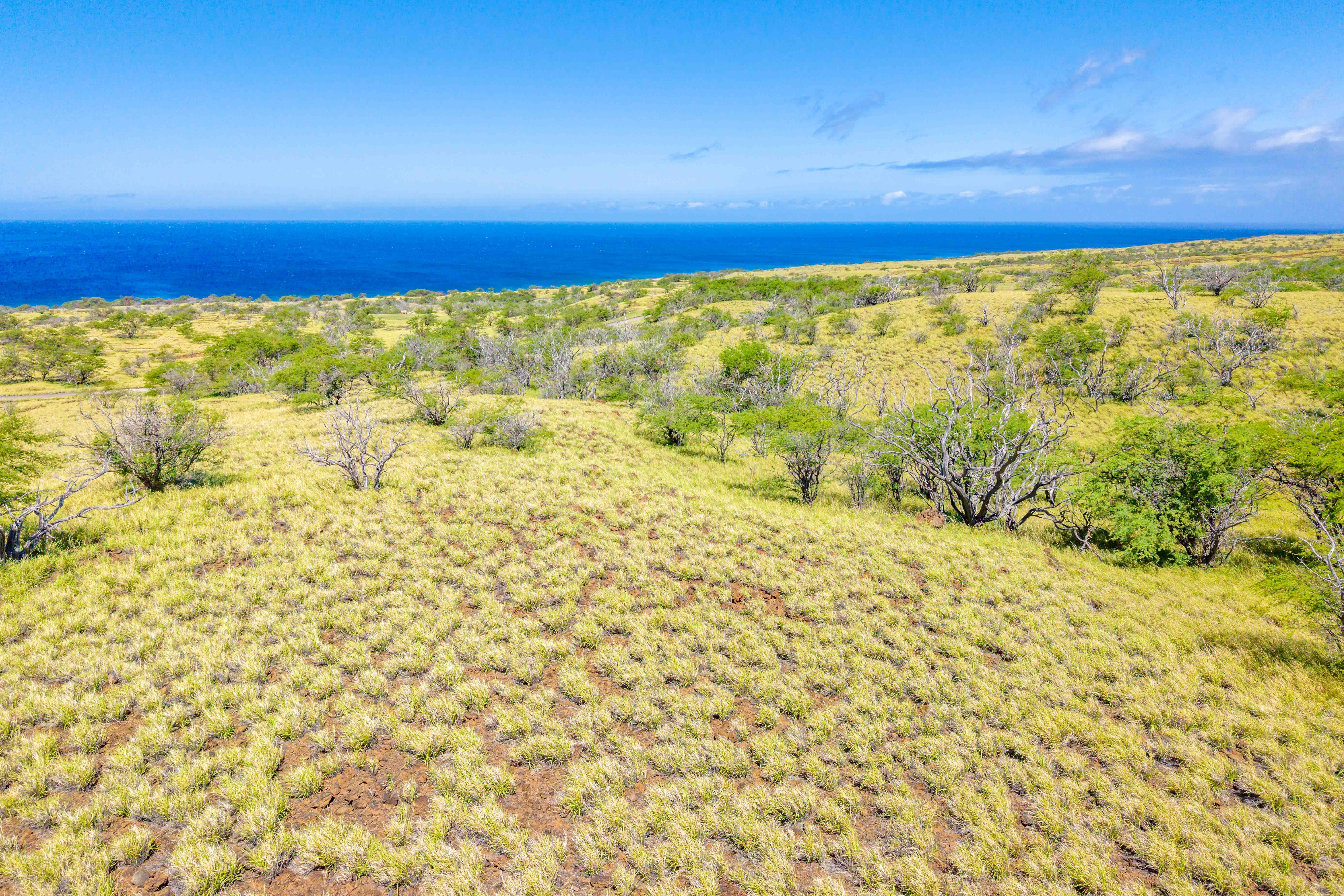  Lot 5-A, Hawi, HI 96719 - 物件實景