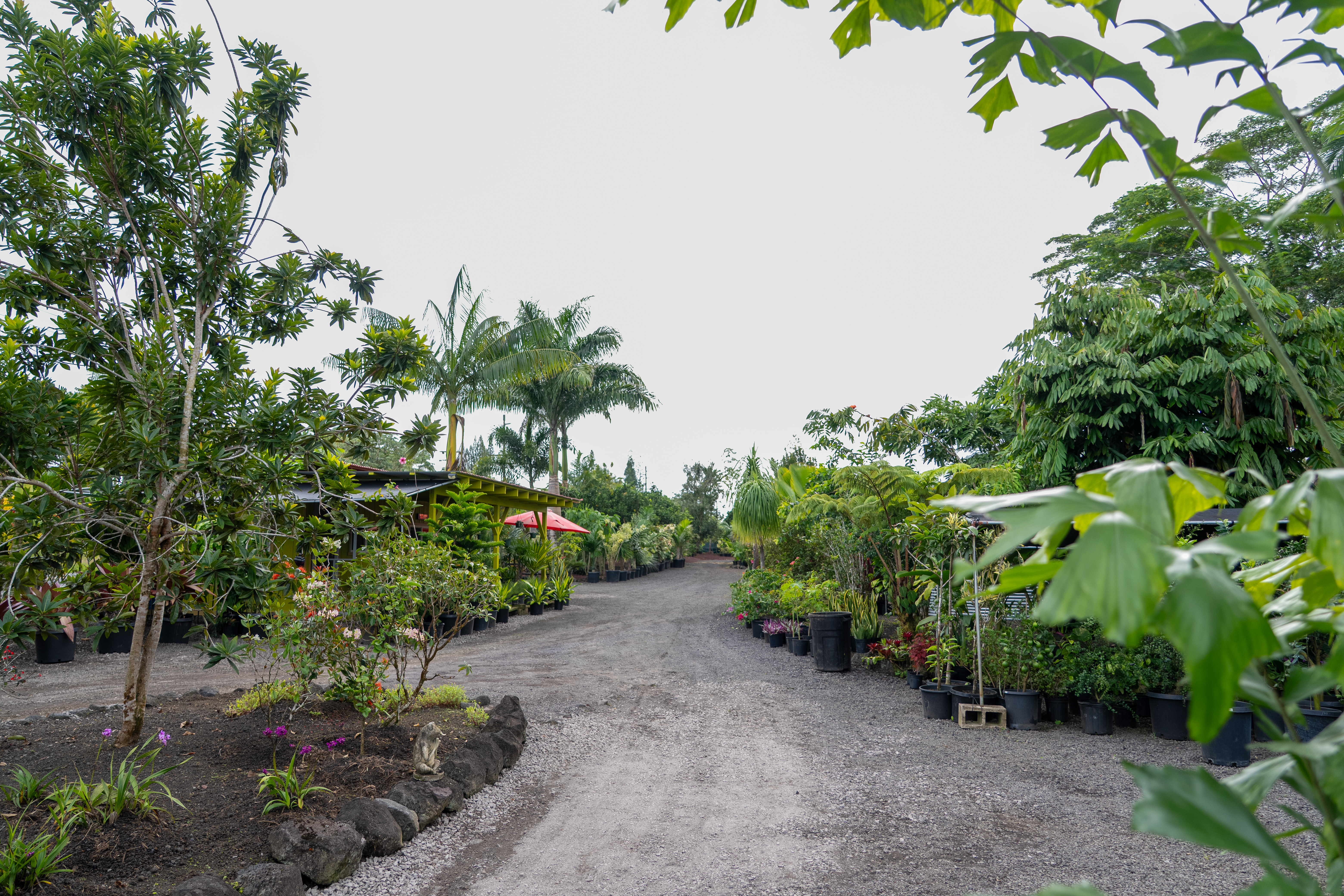 Kurtistown, Hawaii, 96760, United States, 2 Bedrooms Bedrooms, ,2 BathroomsBathrooms,Residential,For Sale,1991865