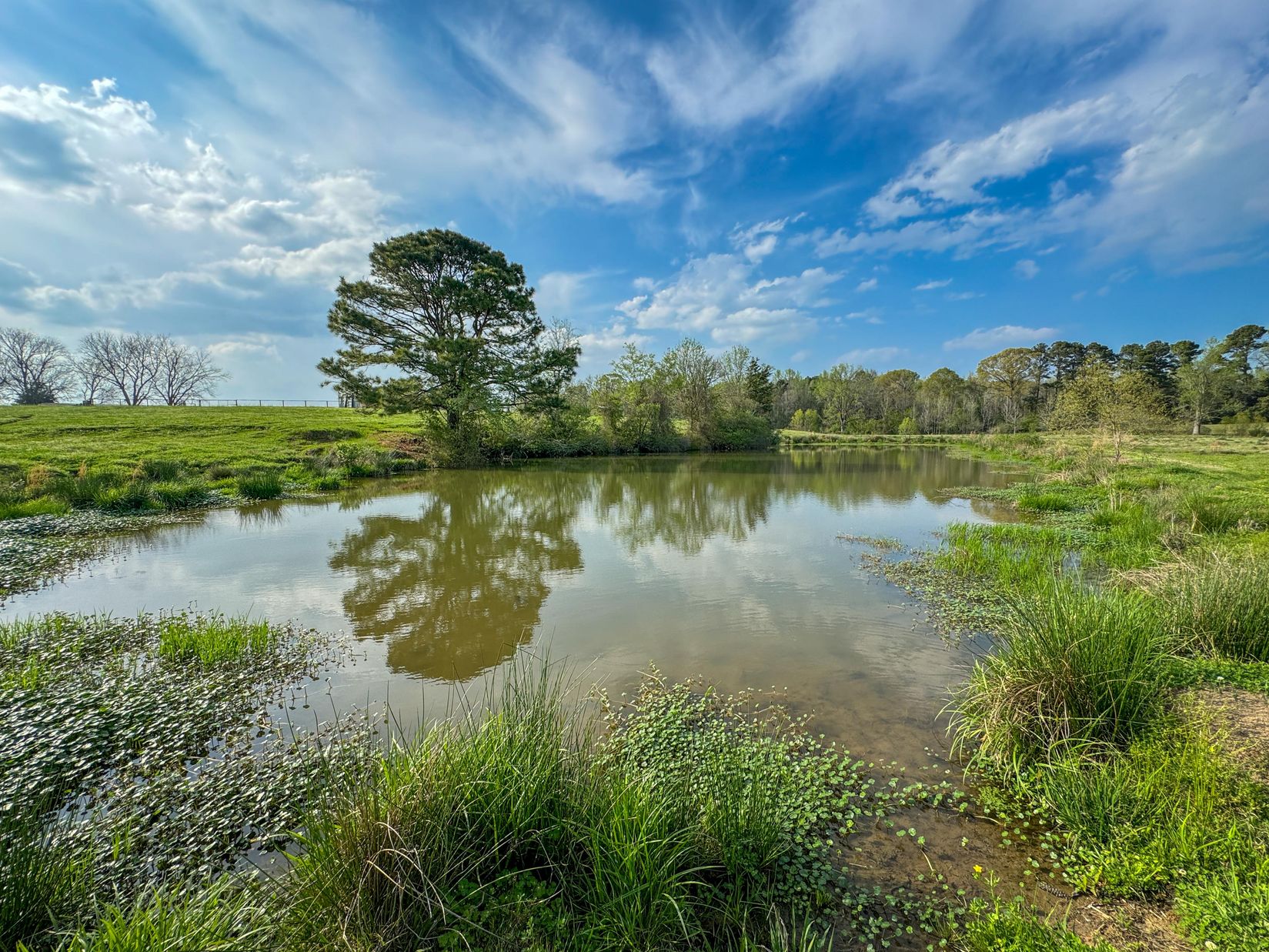 Bivins, Texas, 75555, United States, ,Residential,For Sale,1755933