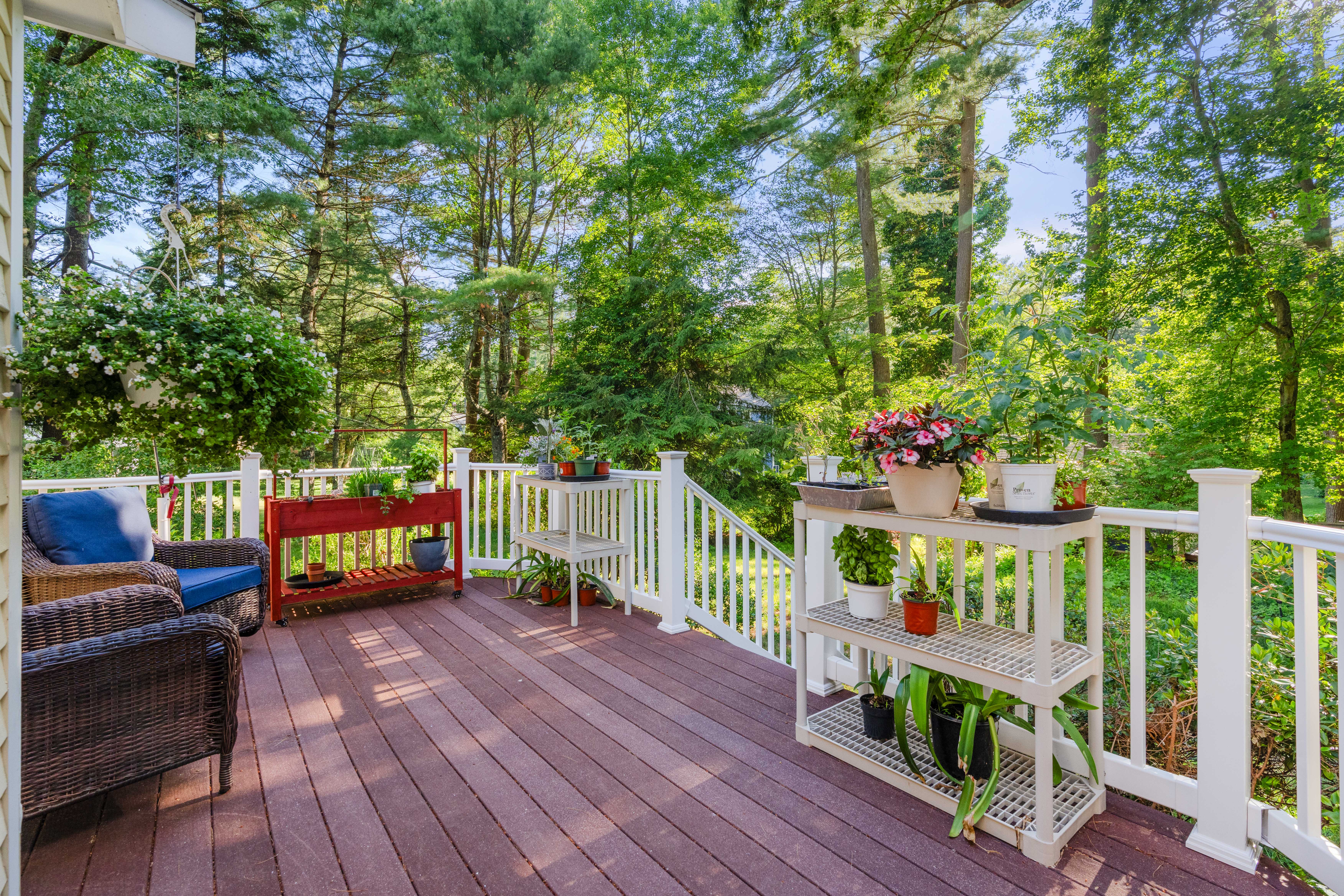  30 Stanhope Drive, Norfolk, MA, 02056 - 物件實景