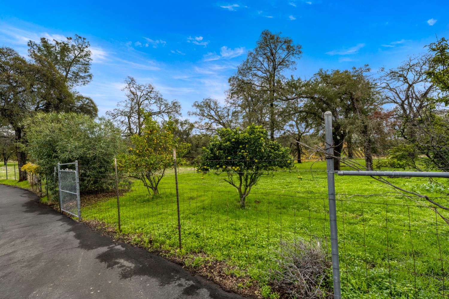 Shingle Springs, California, 95682, United States, 3 Bedrooms Bedrooms, ,3 BathroomsBathrooms,Residential,For Sale,1997420