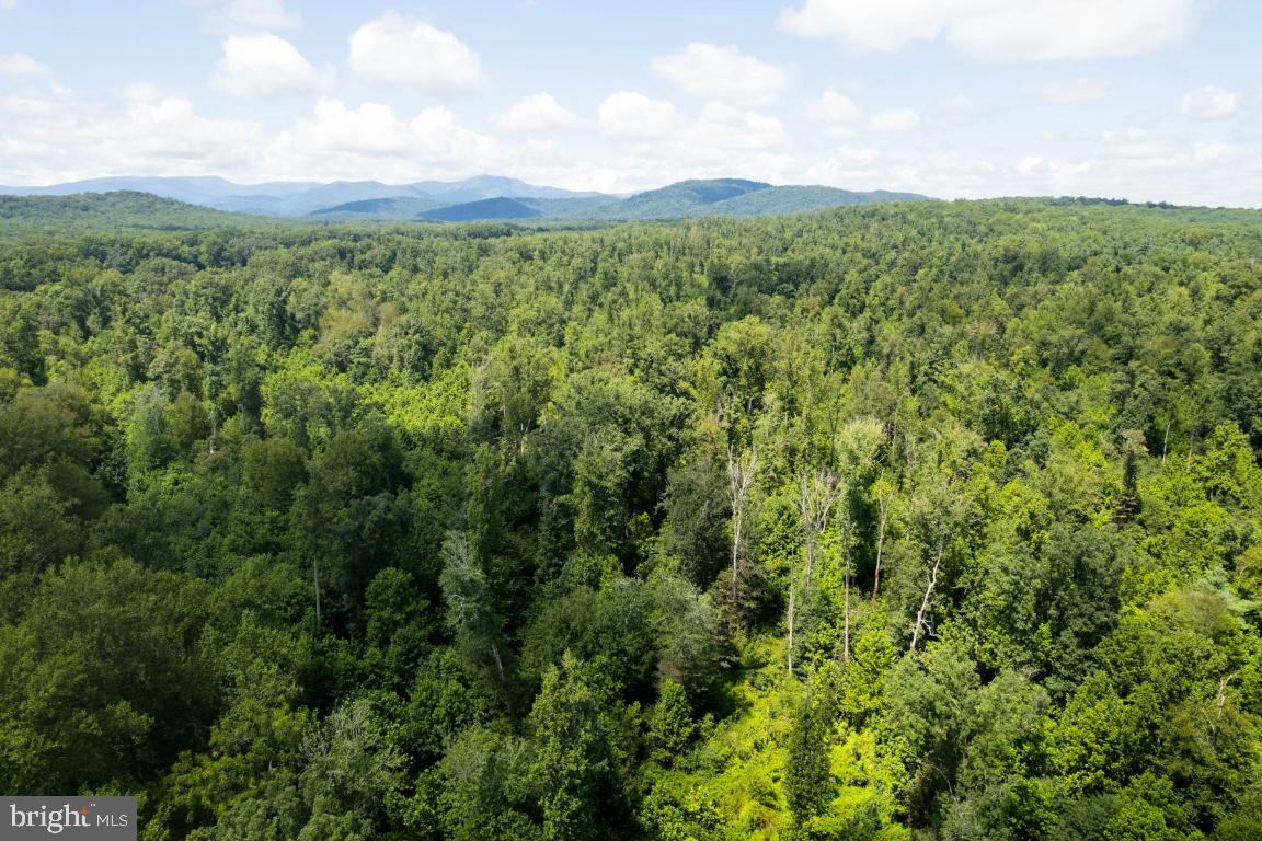 Reva, Virginia, 22735, United States, ,Residential,For Sale,1982526