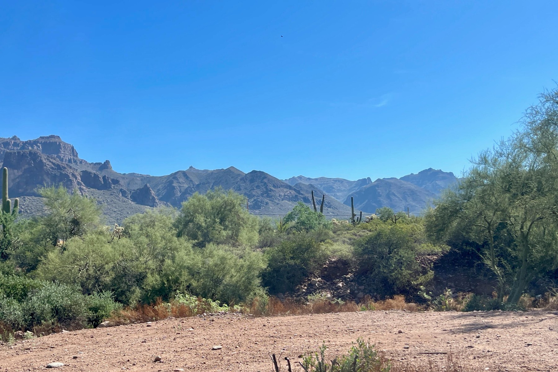  52 E Scenic (geronimo) Street¦Apache Junction, AZ - 物件實景
