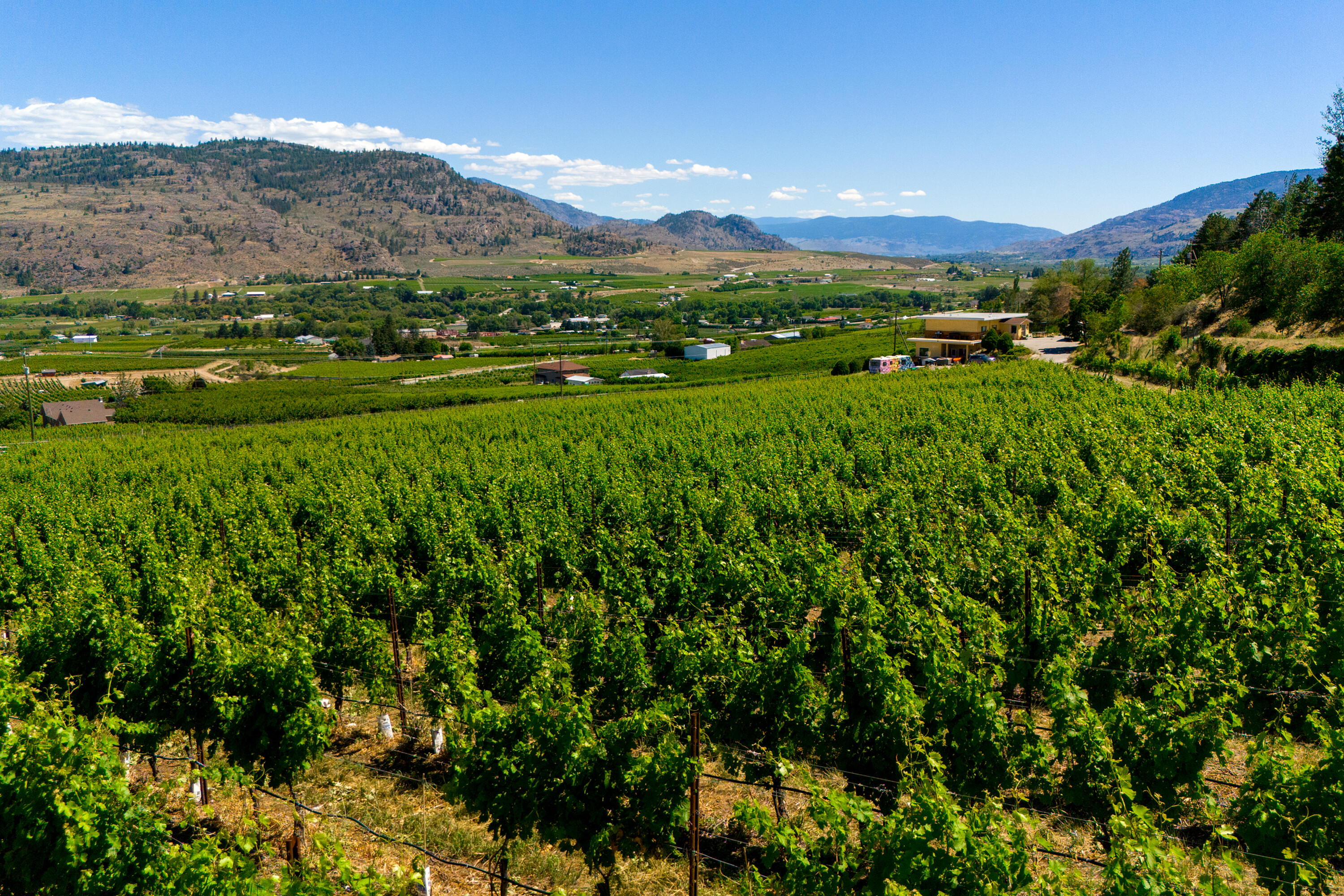  Lakefront Winery Receivership - 物件實景