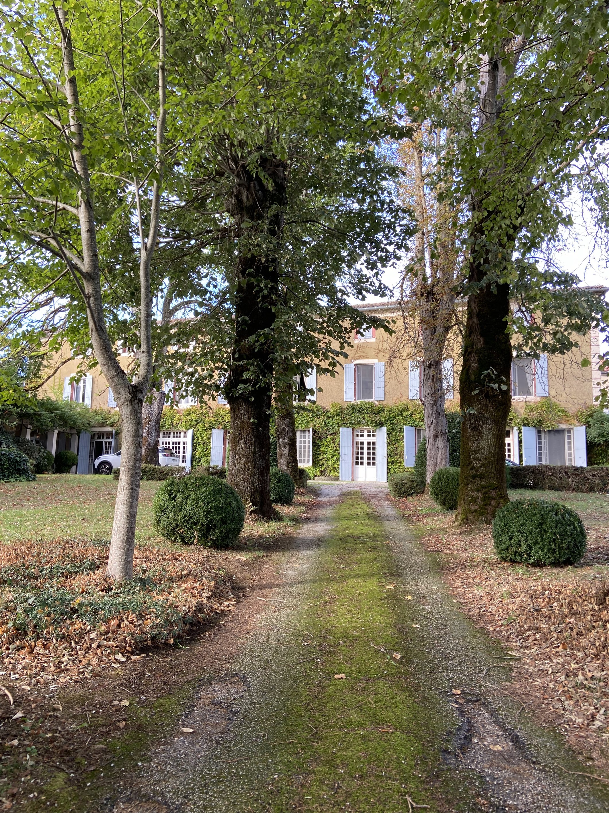  19th century manor house with over 500 m² of living space - 物件實景