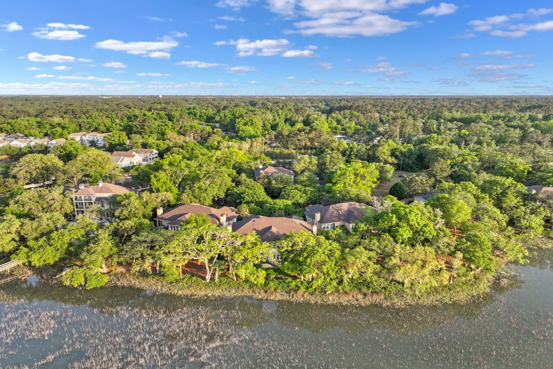  25 Seagrass Landing Court, Hilton Head Island - 物件實景