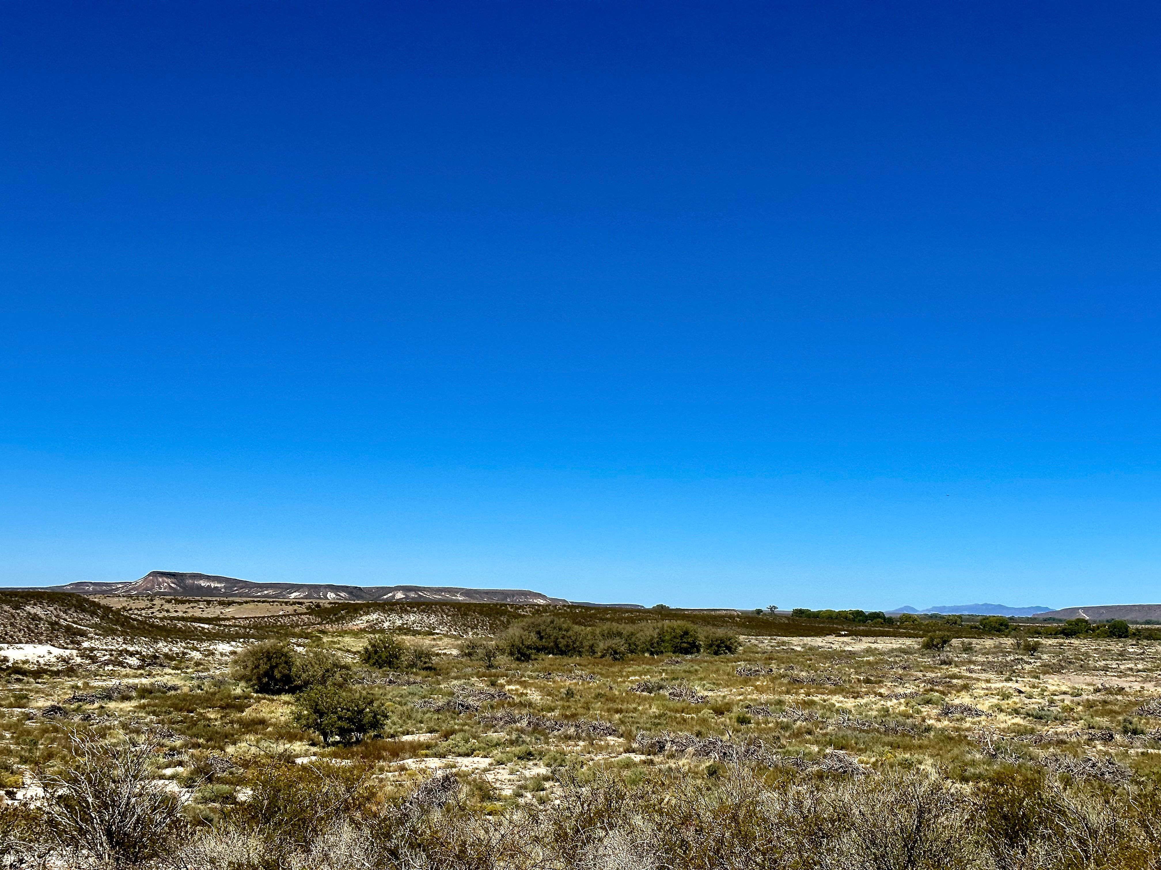  The Alamito Ranch in Presidio County - 物件實景