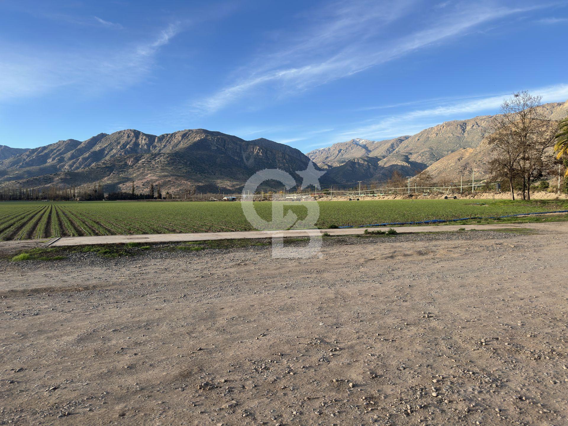 Catemu, Chile, ,Residential,For Sale,1971314