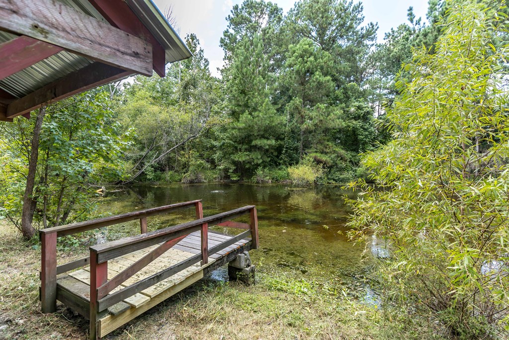 Salem, Alabama, 36874, United States, 4 Bedrooms Bedrooms, ,4 BathroomsBathrooms,Residential,For Sale,1947169