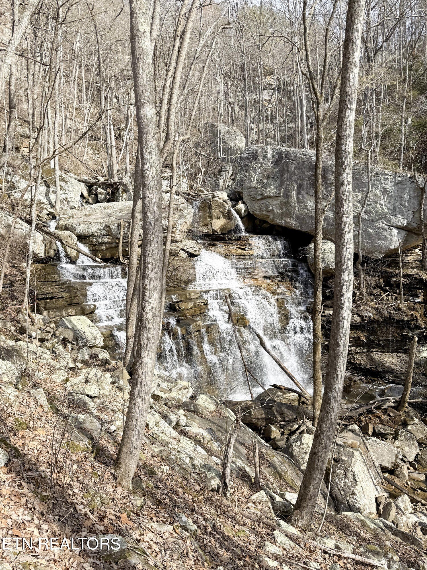 Pikeville, Tennessee, 37367, United States, ,Land,For Sale,1975616