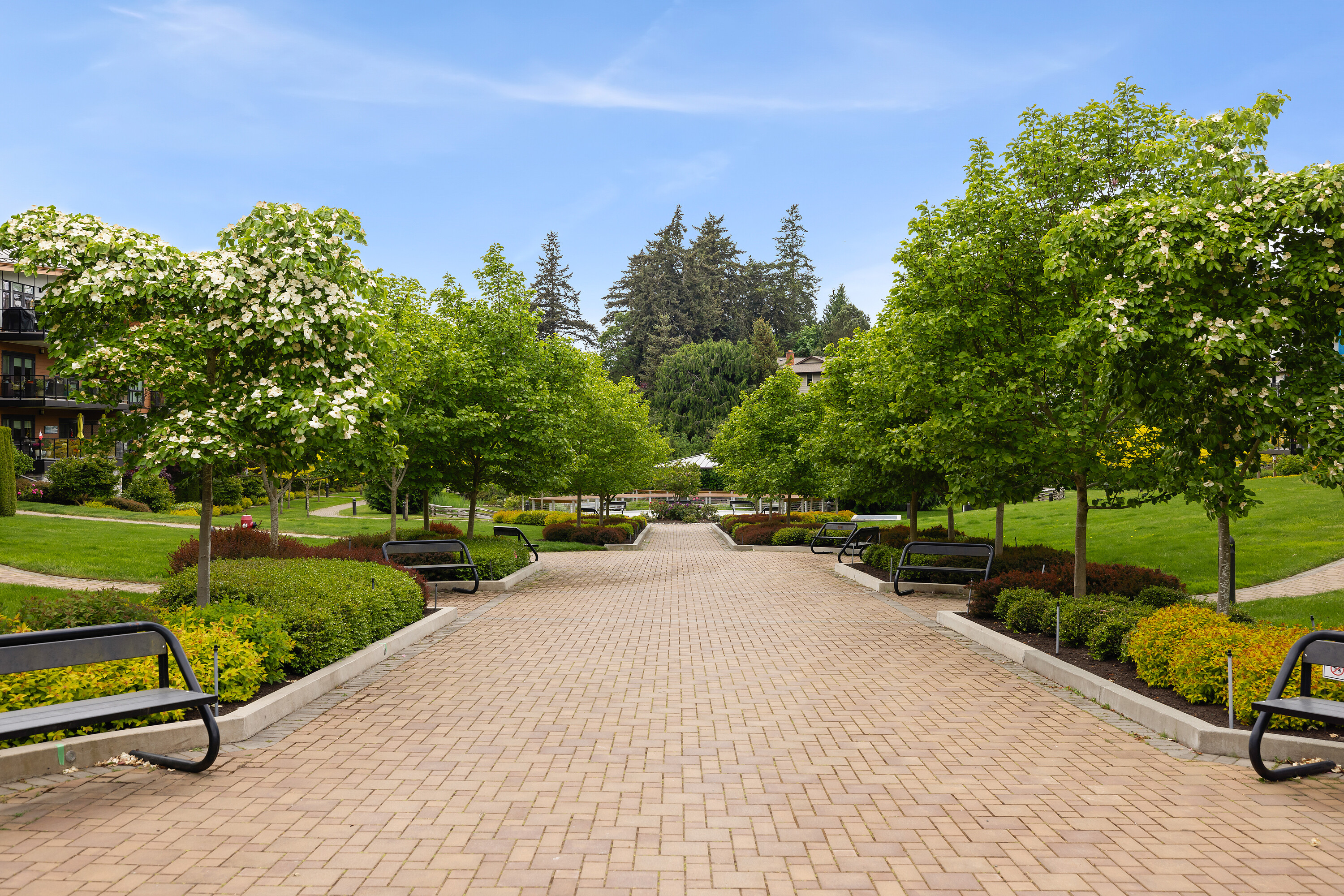  Exceptional Travino Gardens - 物件實景