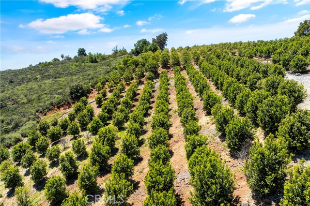 Temecula, California, 92590, United States, ,Land,For Sale,1988862