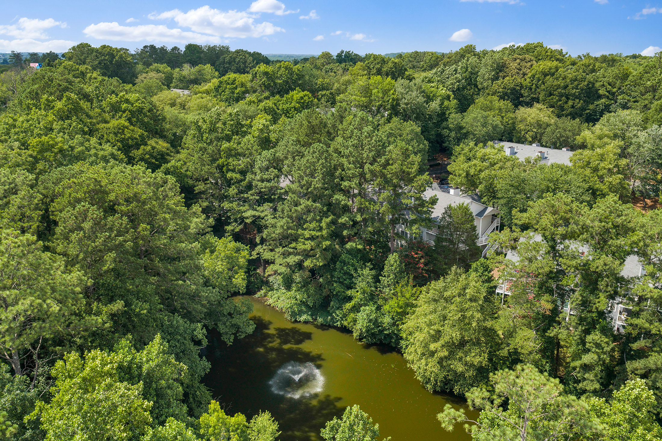  Perfectly Positioned Between the Charm of Downtown Roswell and Sandy Springs - 物件實景