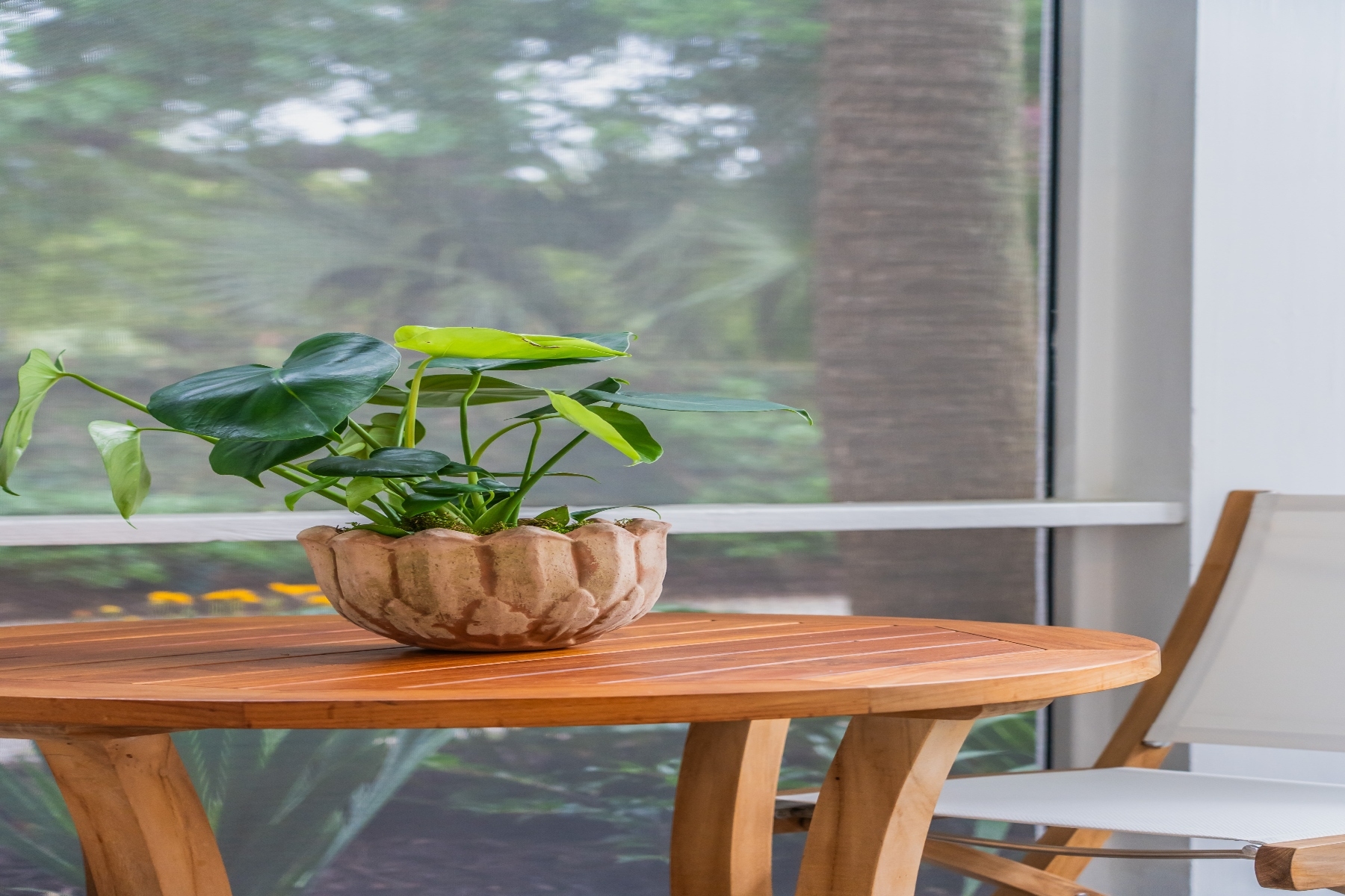  30 Mary Street Unit 6, Charleston - 物件實景