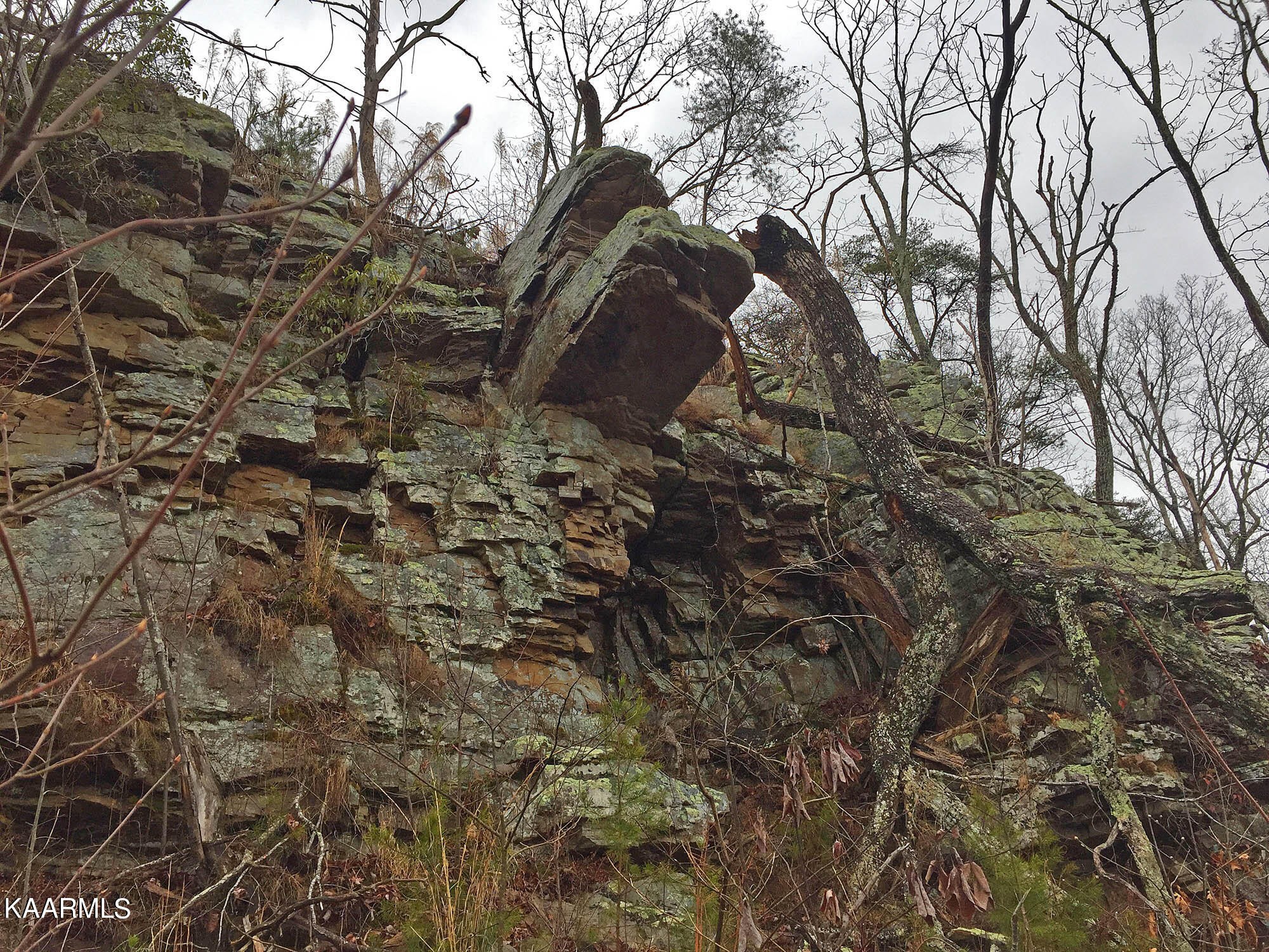 Pikeville, Tennessee, 37367, United States, ,Residential,For Sale,1943070