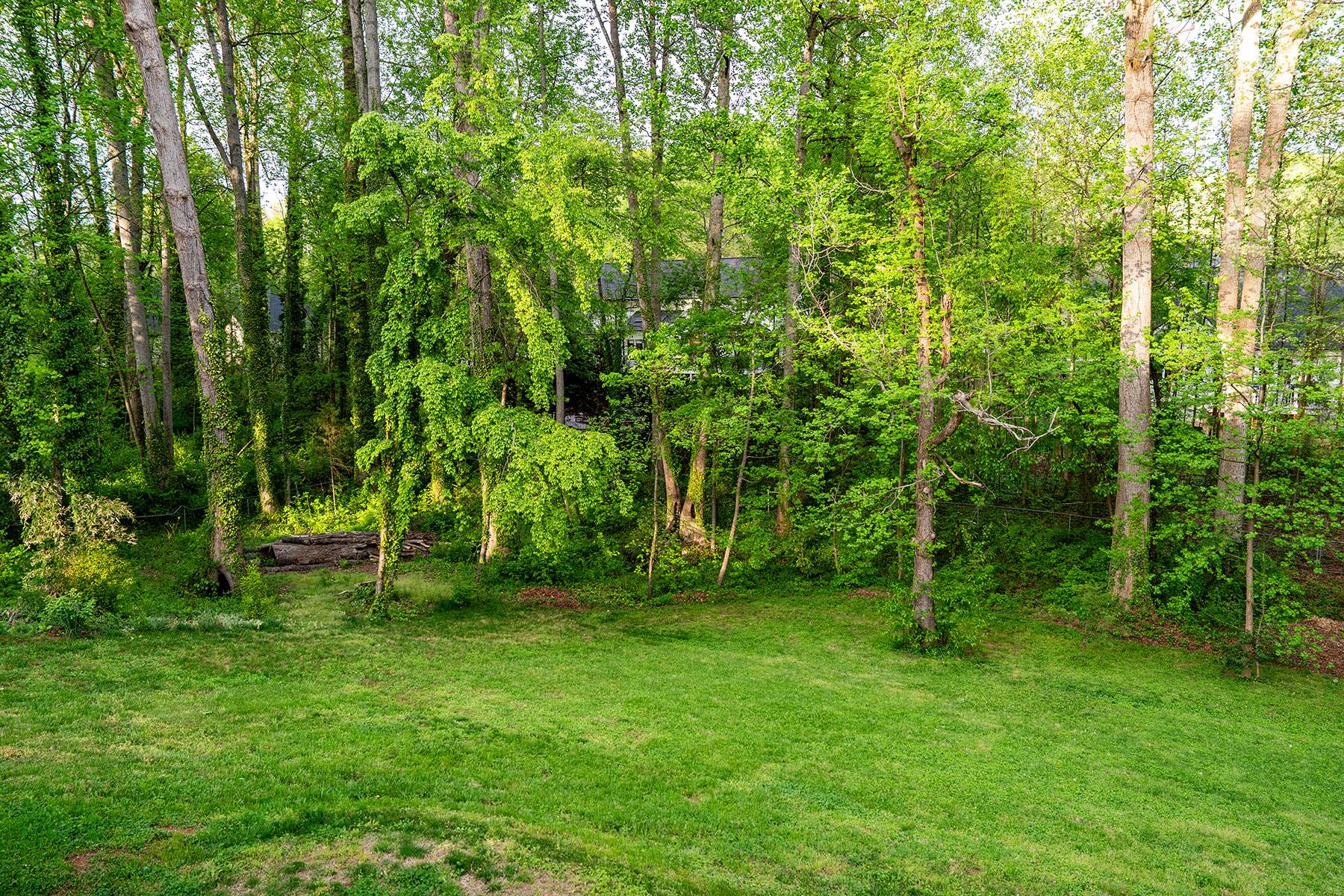  Statesville - 物件實景