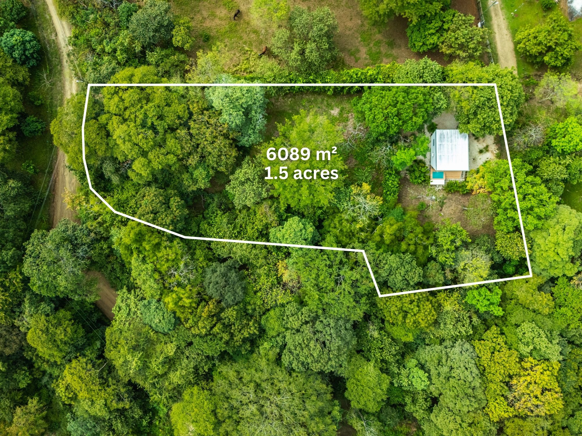 Property photo 5
