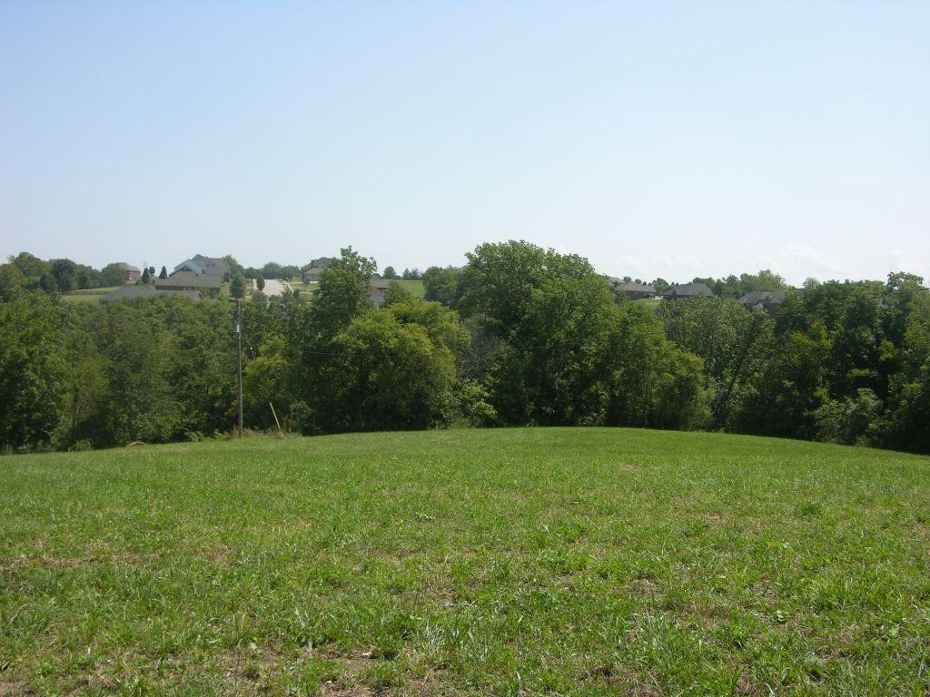 1400 Curtis Pike, Richmond, Kentucky, 40475, United States, ,Land,For Sale,1400 Curtis Pike,1616978